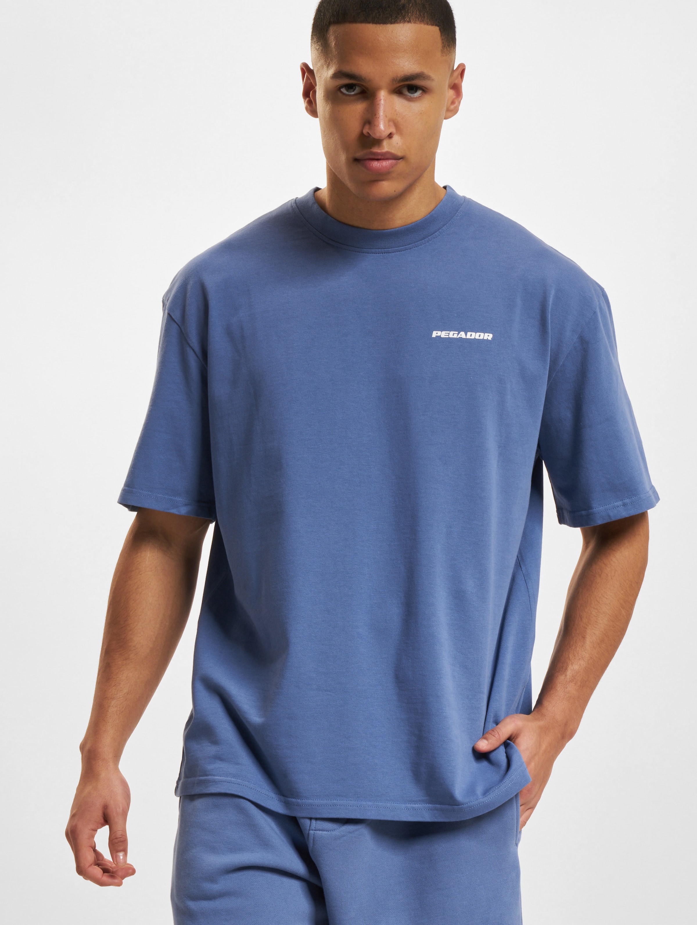PEGADOR Logo Oversized T-Shirt Mannen op kleur blauw, Maat S