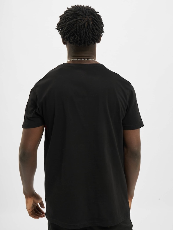 Alpha Industries Inlay T-Shirt-1