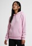 rose_137780