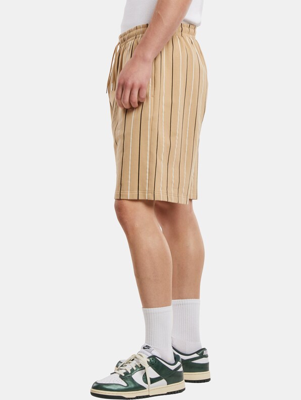 Urban Classics Printed Pinstripe Shorts-2