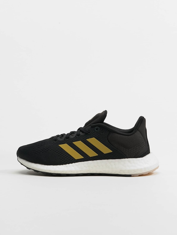 Pureboost 21-1