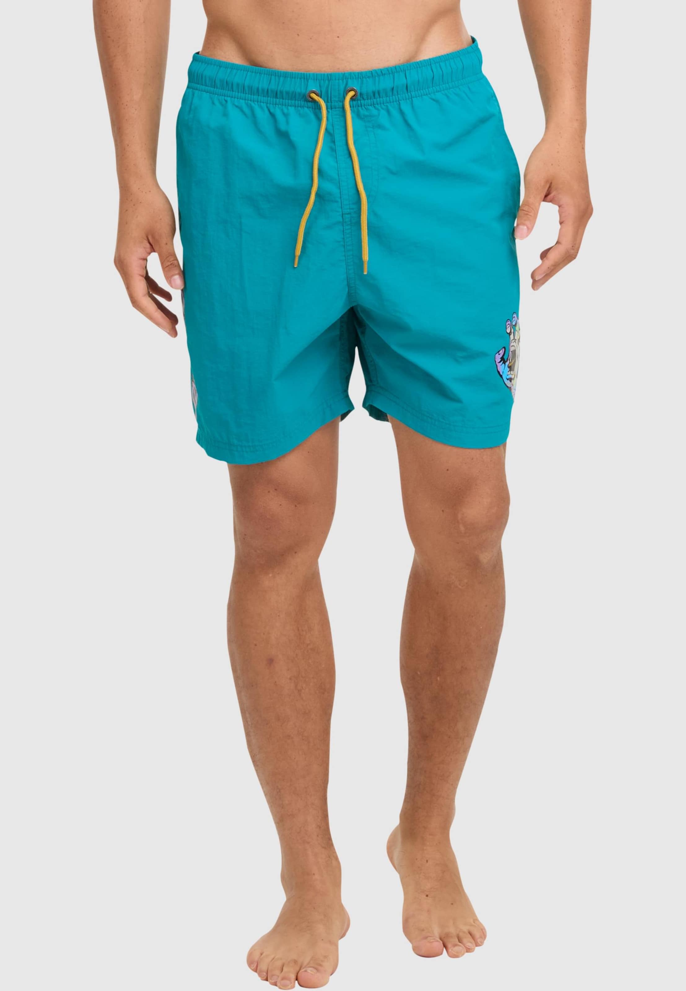 Santa Cruz Holo Hand Badeshorts