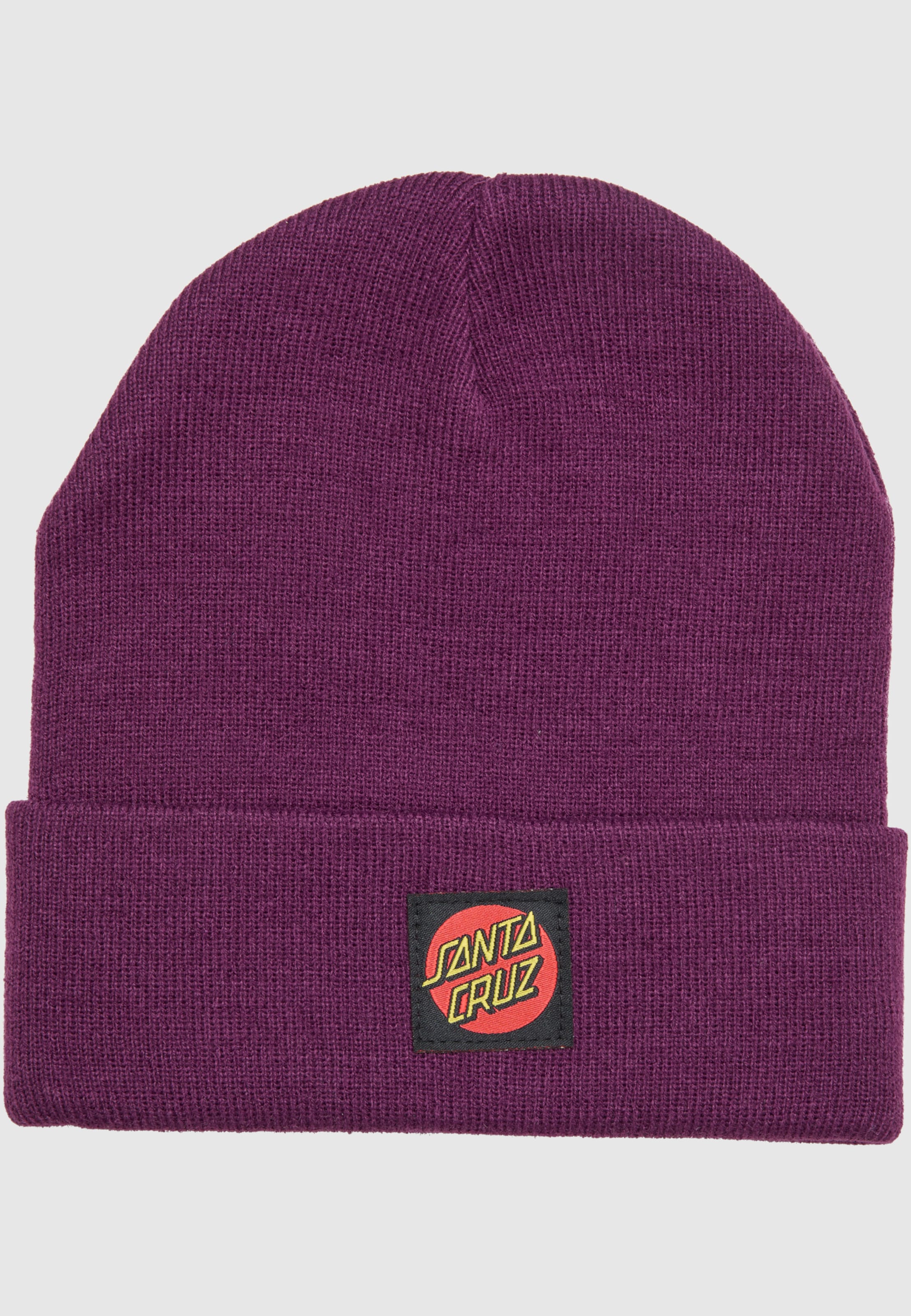 Santa Cruz Classic Label Beanie
