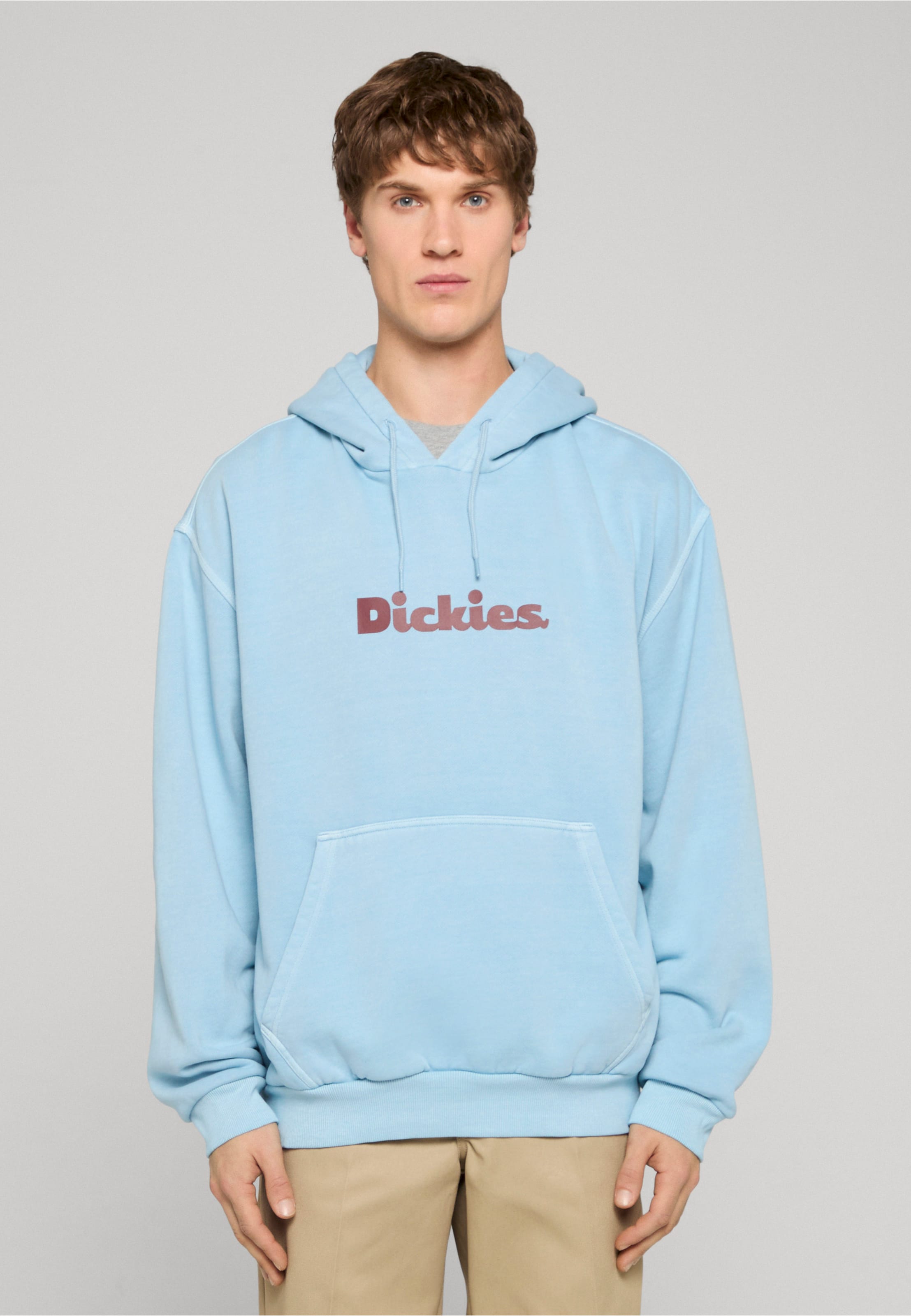 Dickies SLAYDEN GD HOODIE