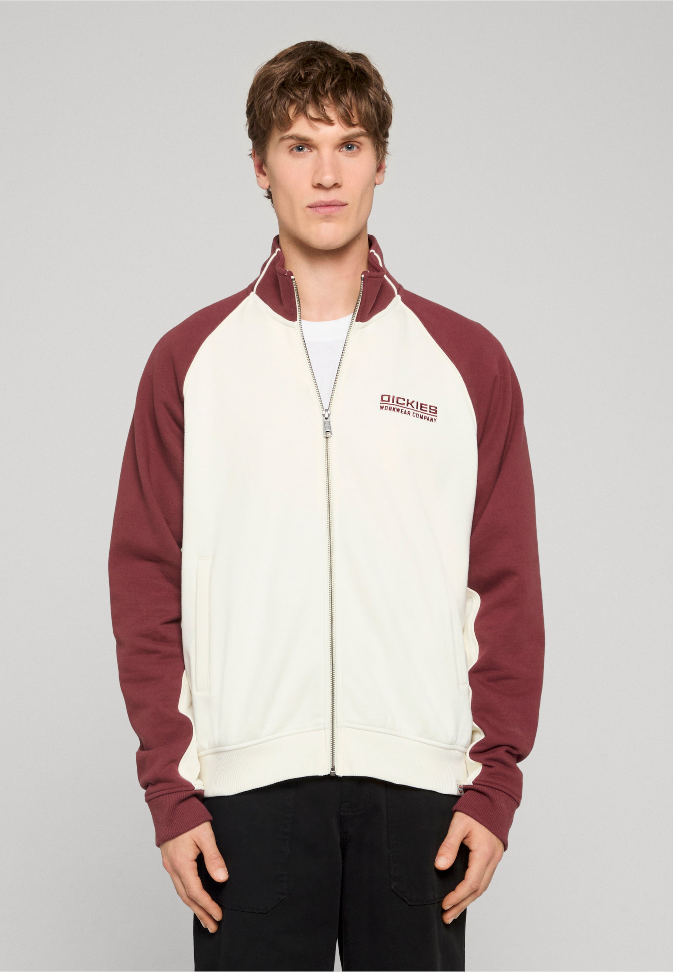 Dickies BOLIVAR FZ SWEATSHIRT