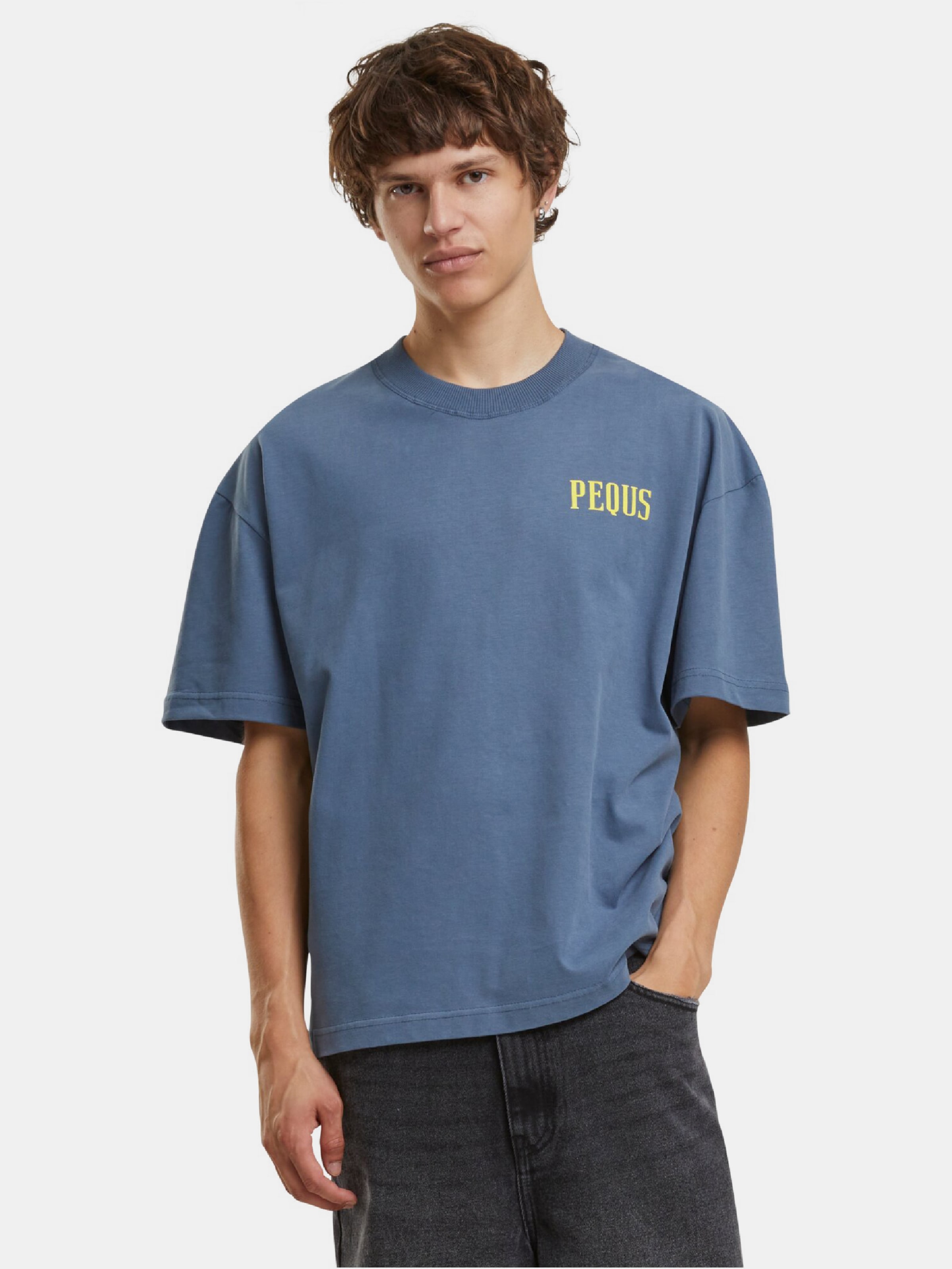 PEQUS Art Gallery T-Shirt