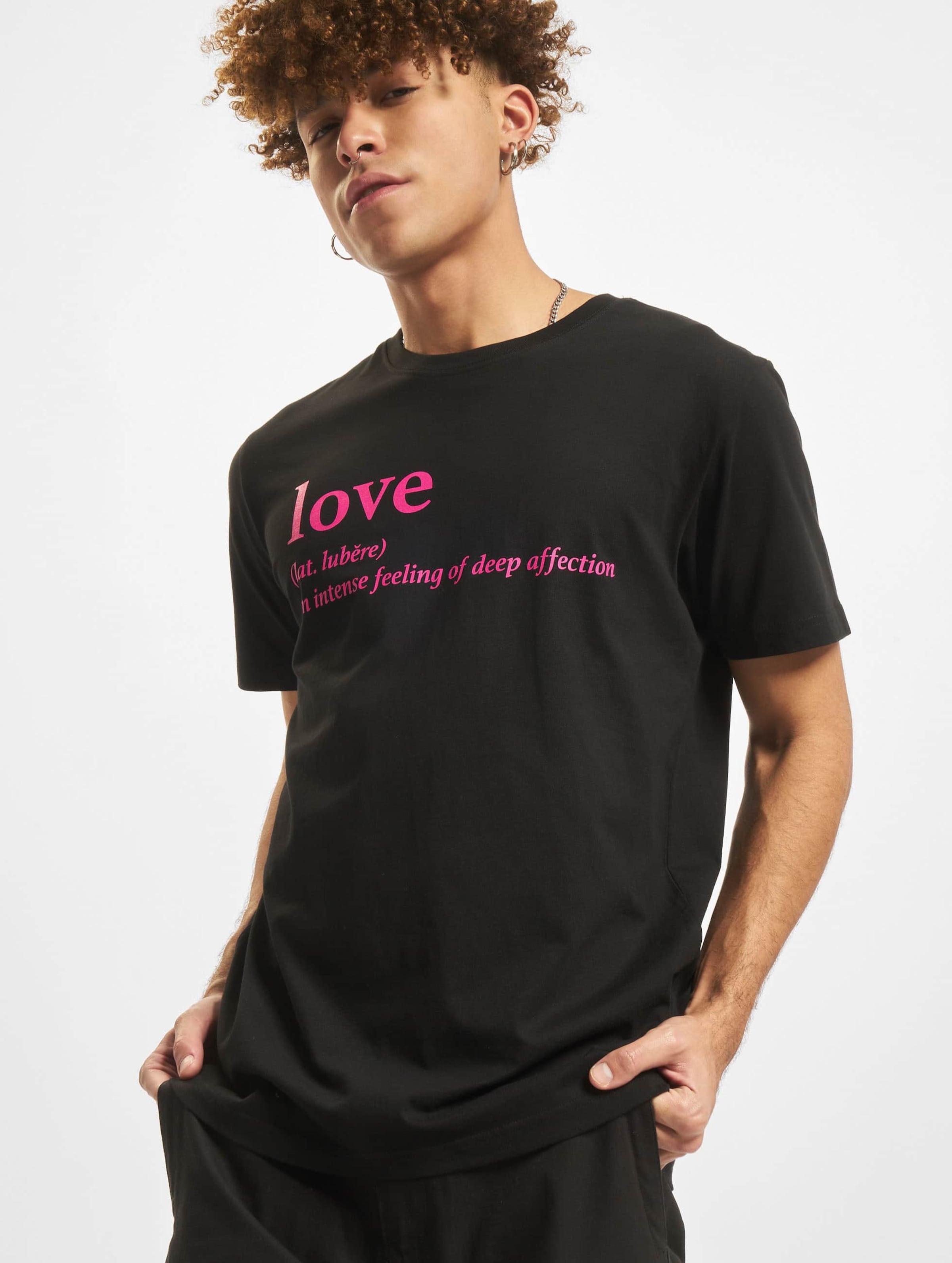 Mister Tee Ladies Love Definition