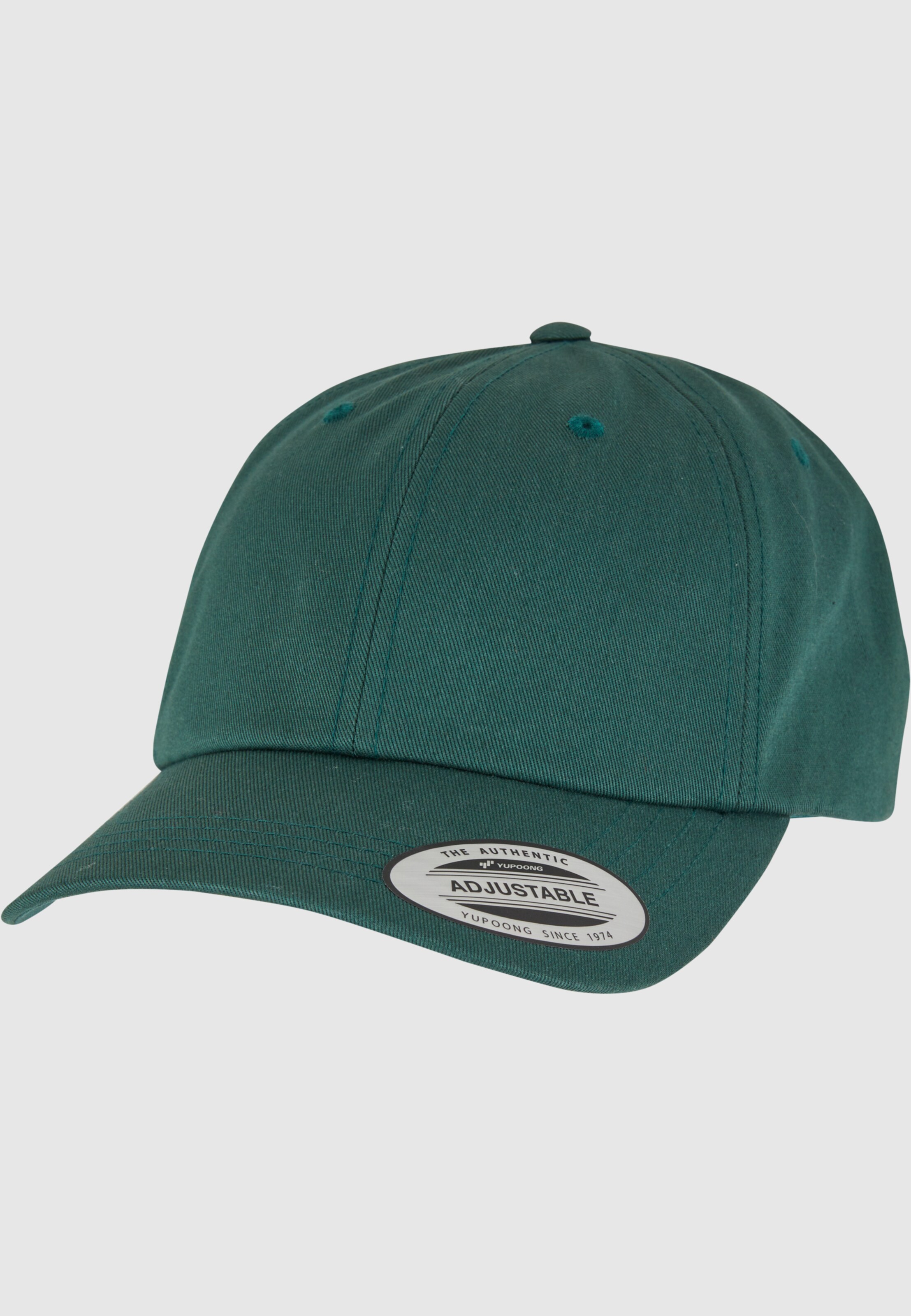 Flexfit Low Profile Cotton Twill