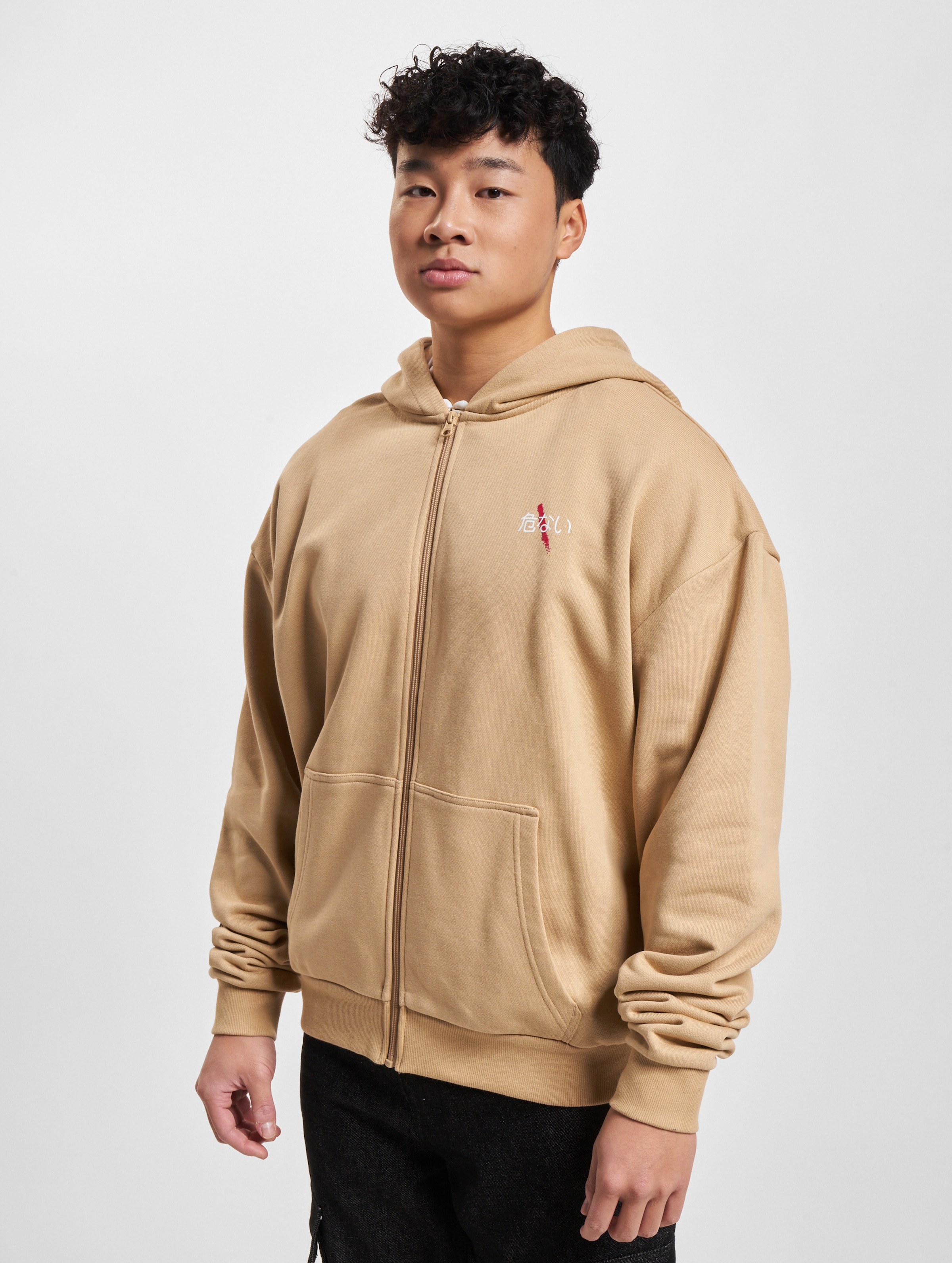 Dangerous DNGRS Decent Zip Hoodie
