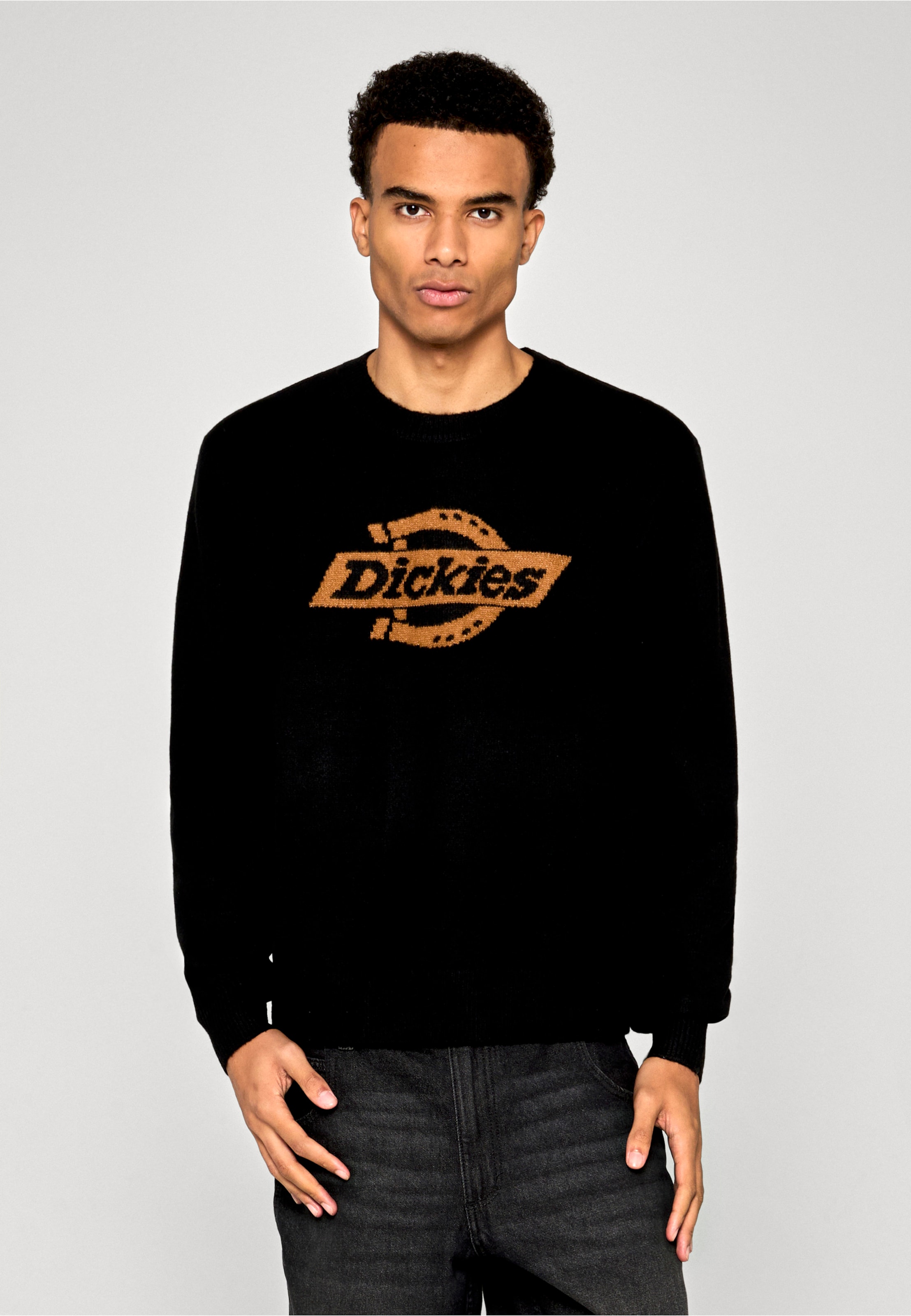 Dickies RUSTON SWEATER