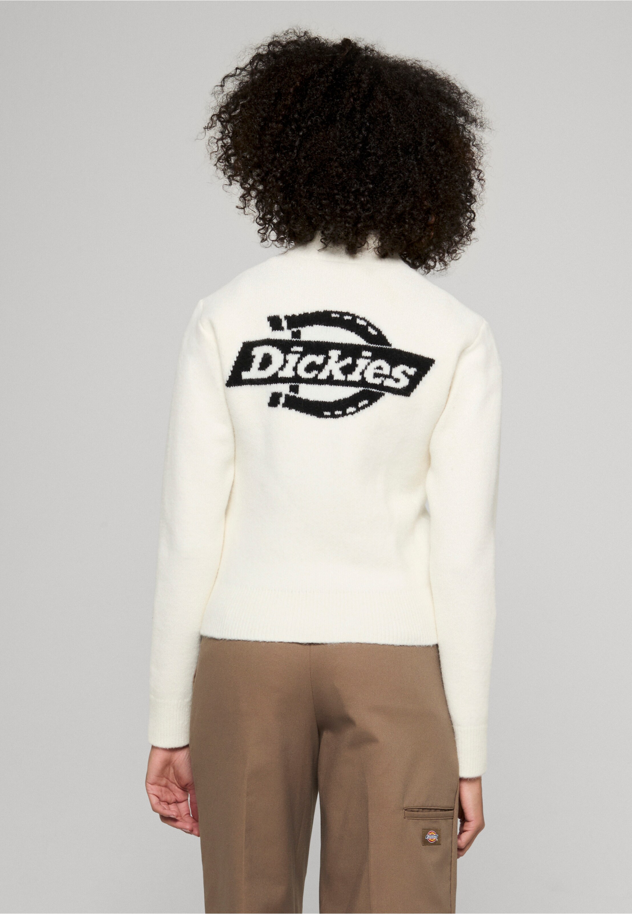 Dickies RUSTON QZ SWEATER W