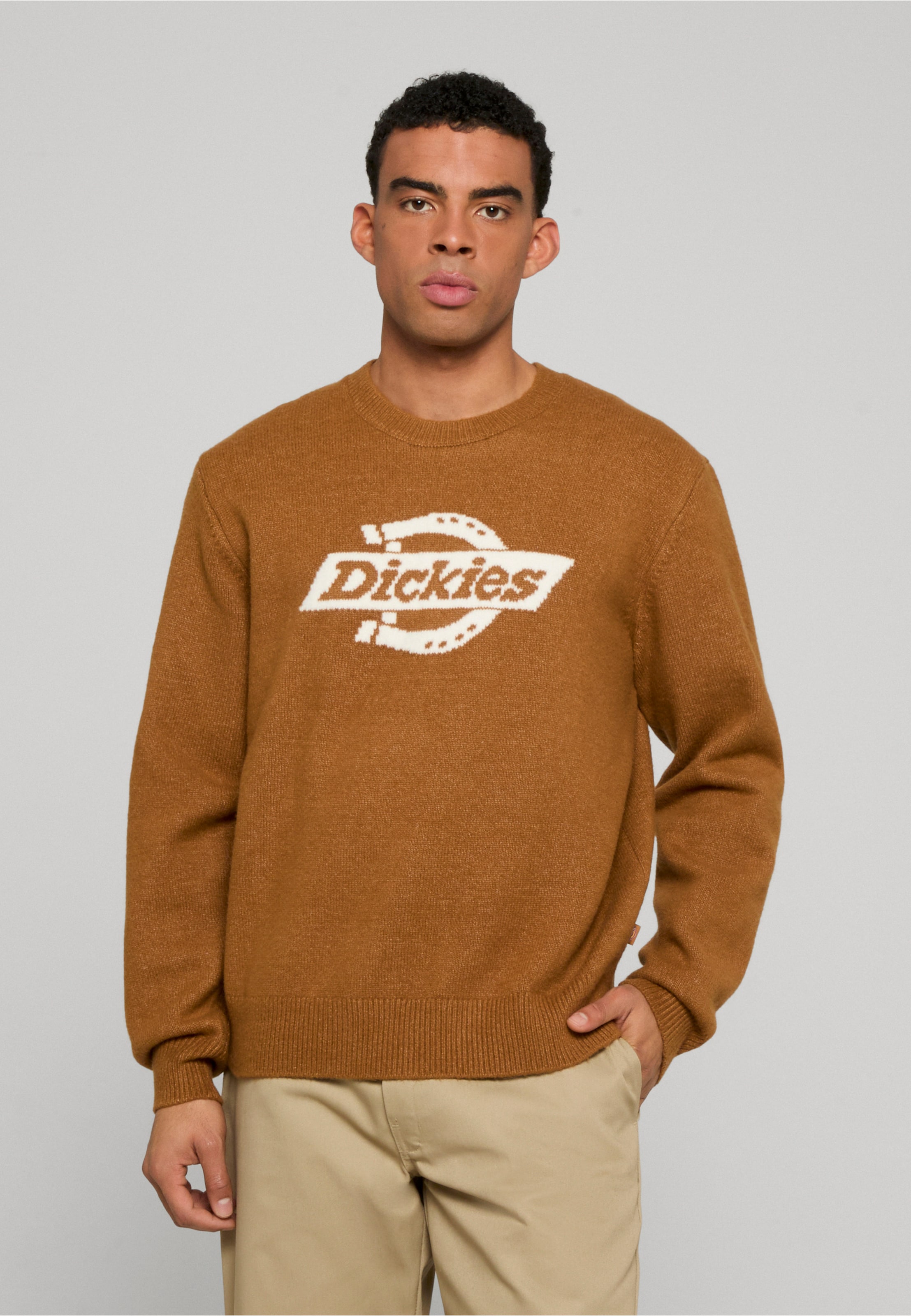 Dickies RUSTON SWEATER