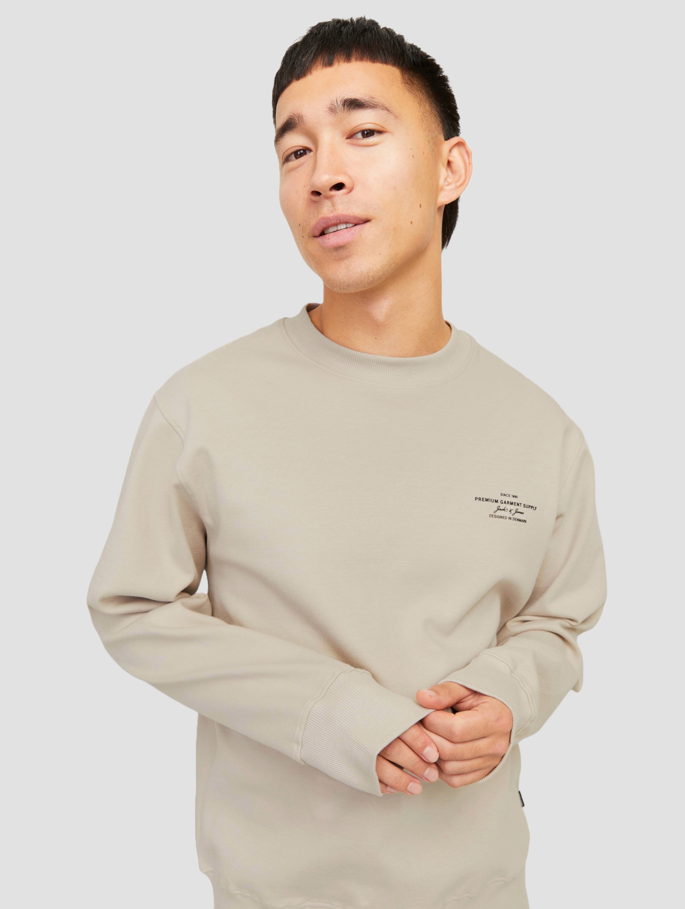 Jack & Jones JPRBLACHAD BRANDING SWEAT CREW NECK LN