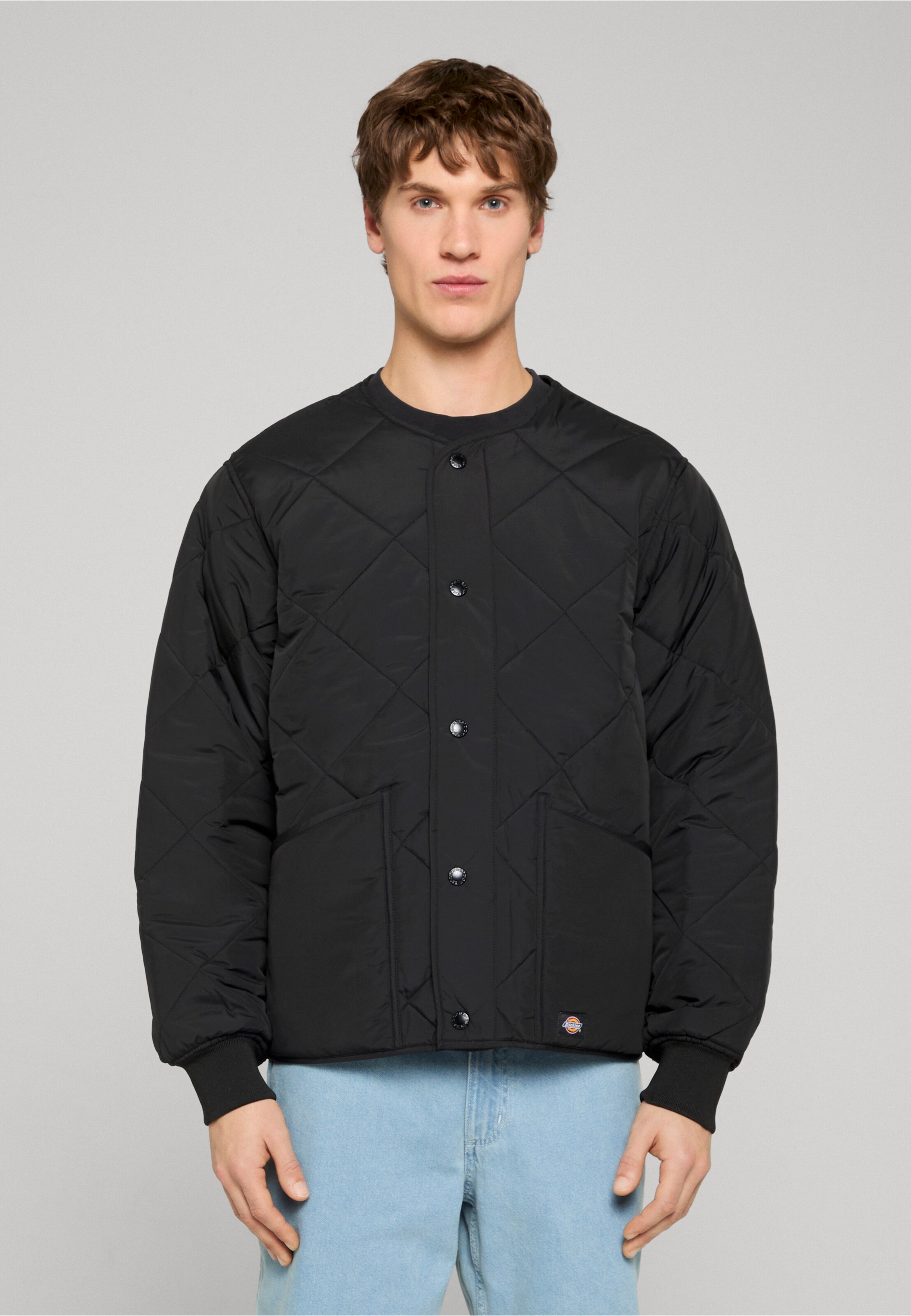 Dickies SAMBURG LINER JACKET
