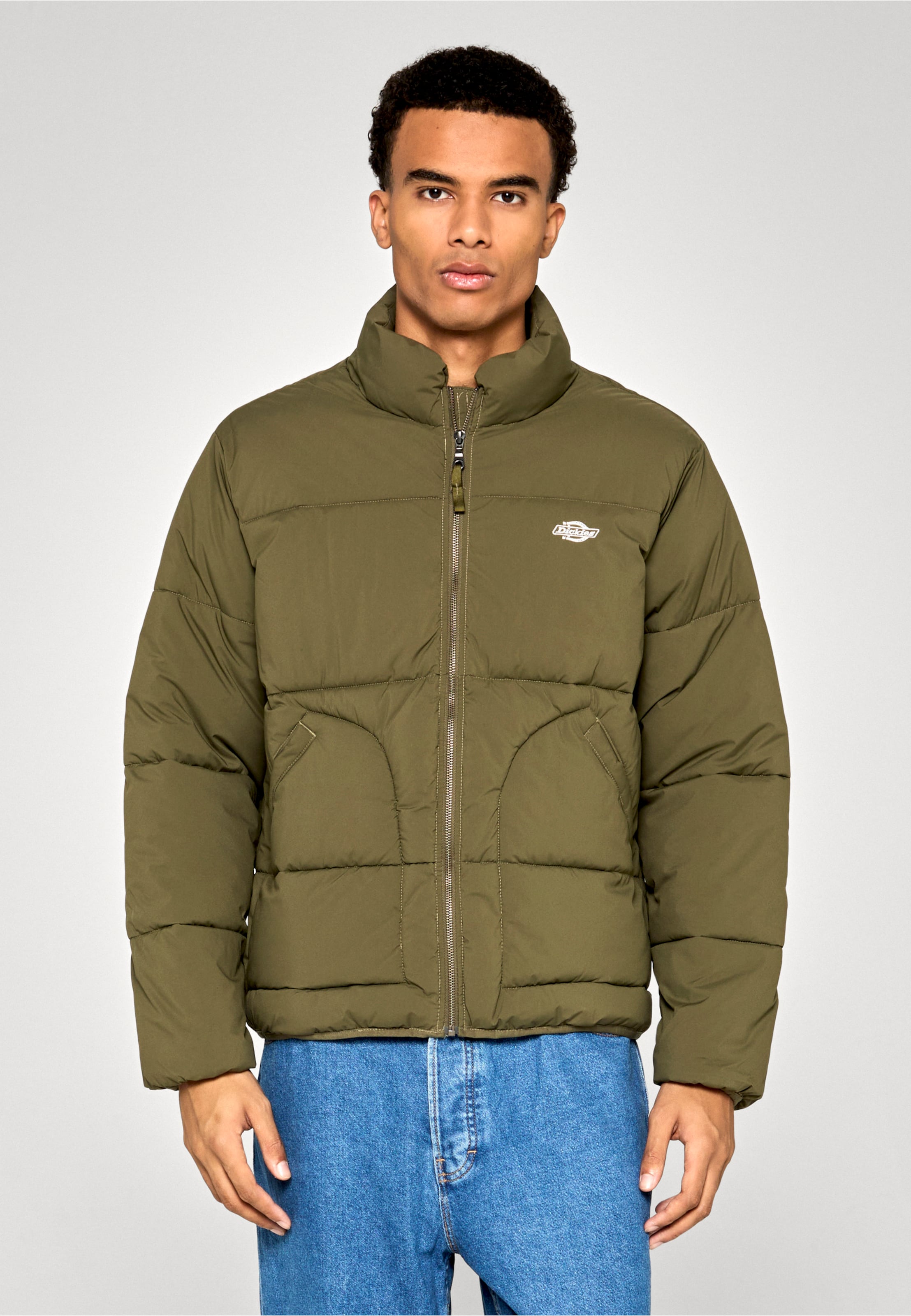 Dickies SUMMERDALE PUFFER