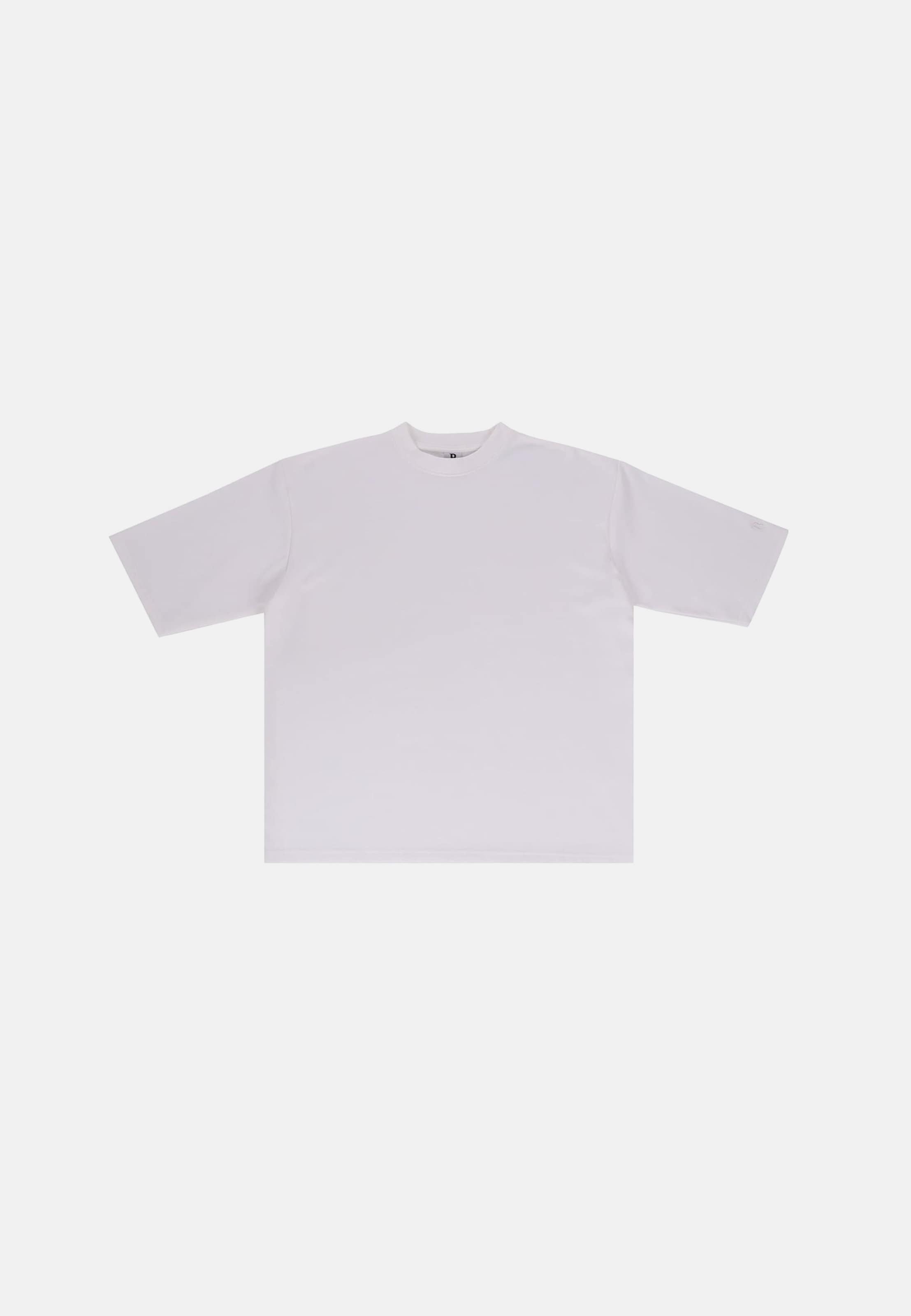 Dropsize Loose Fit T-Shirt
