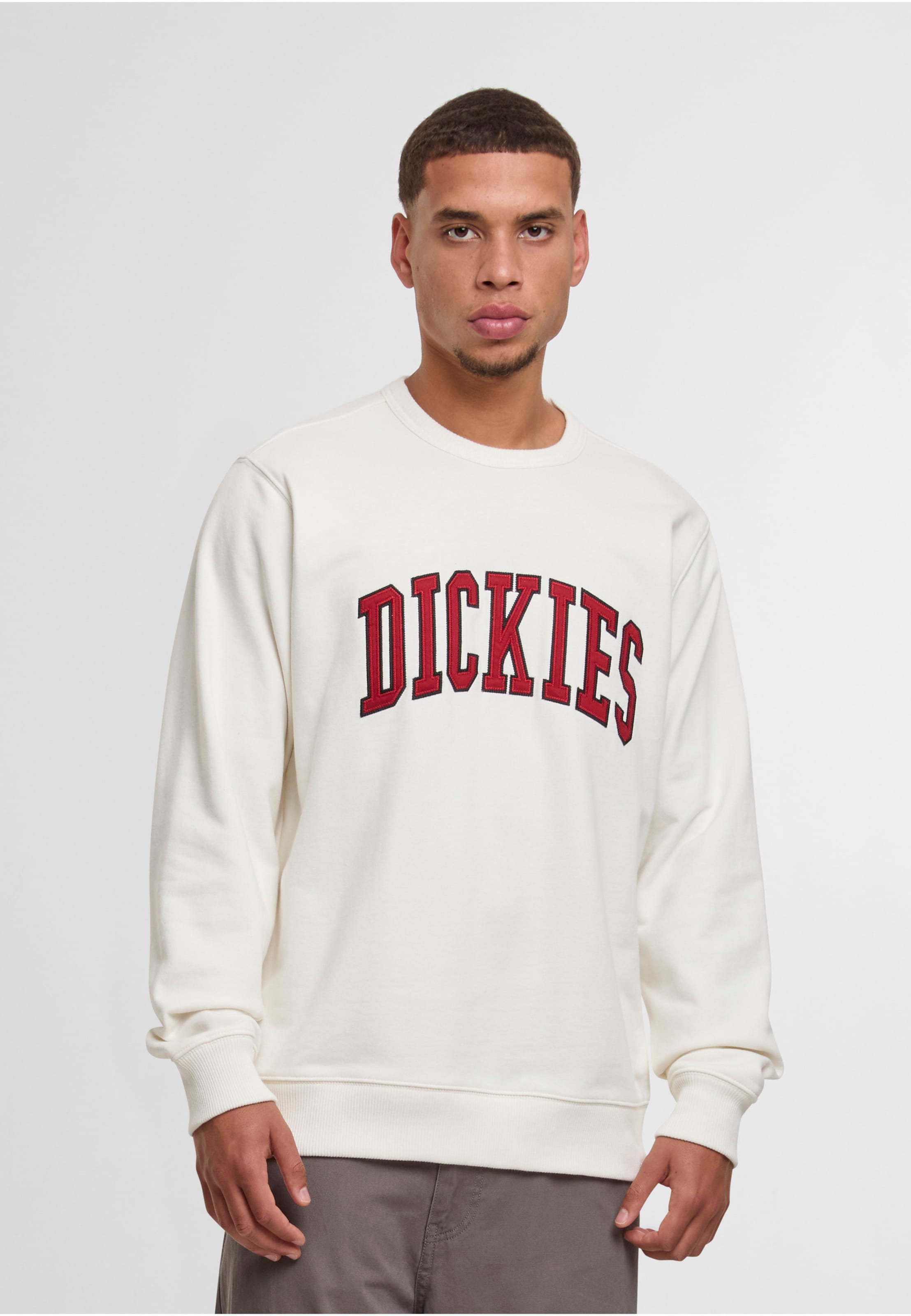 Dickies Aitkin Sweatshirt