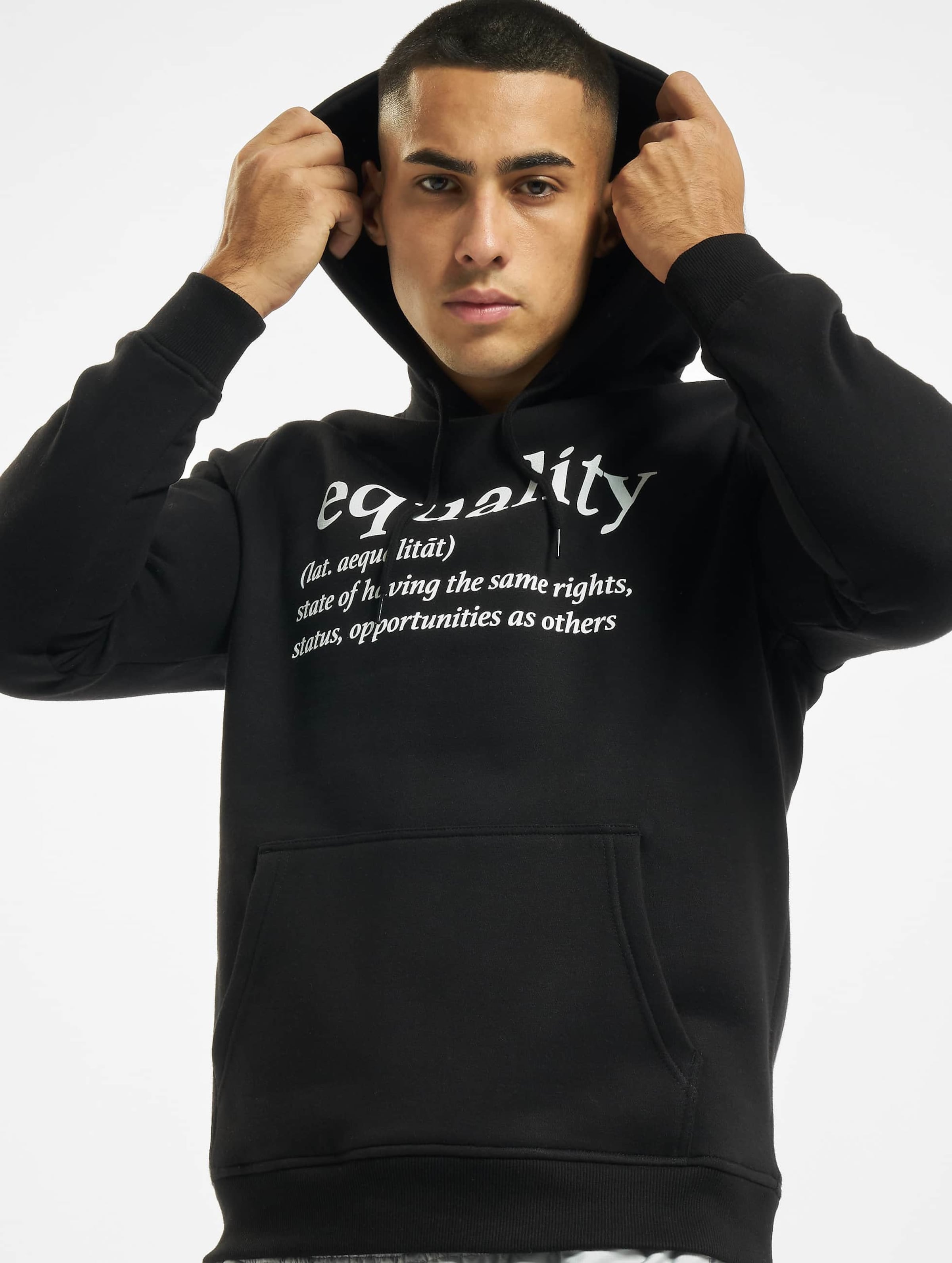 Mister Tee Ladies Equality Definition Hoody