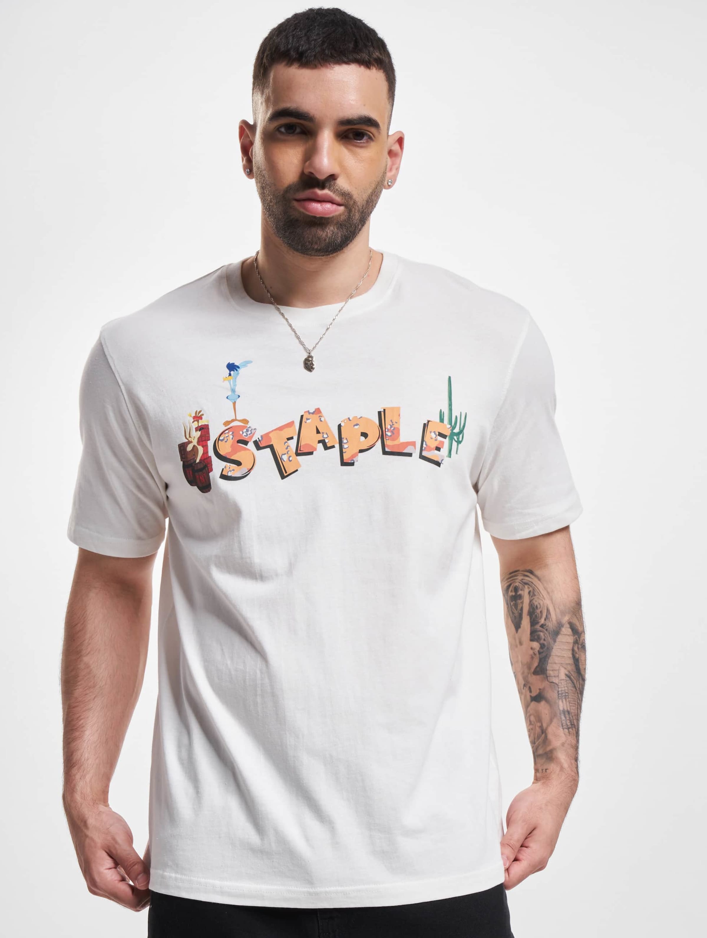 Staple Desert Logo T-Shirt