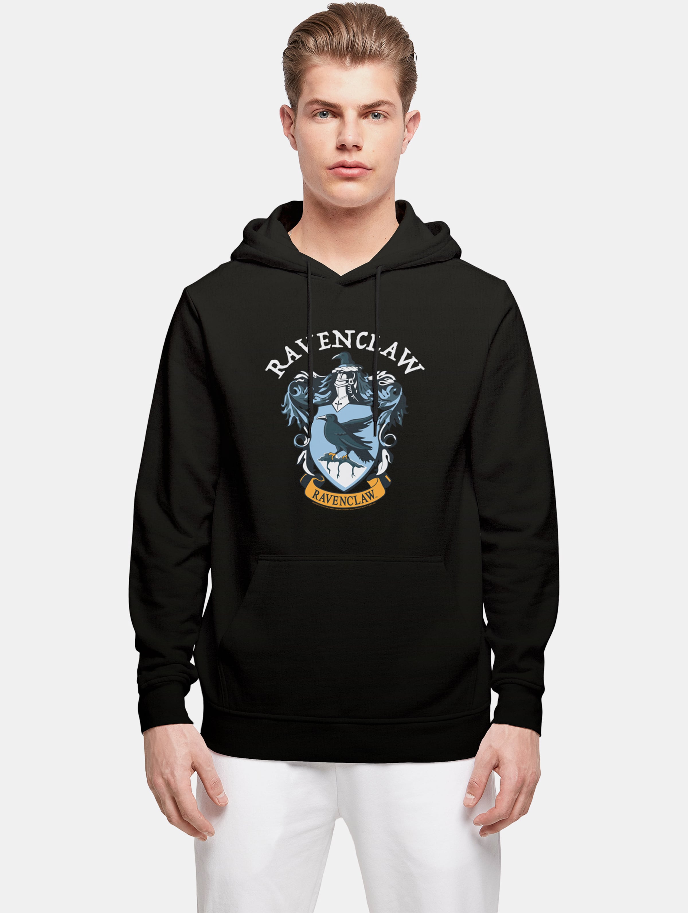 Absolute Cult Harry Potter - Ravenclaw Crest Hoody