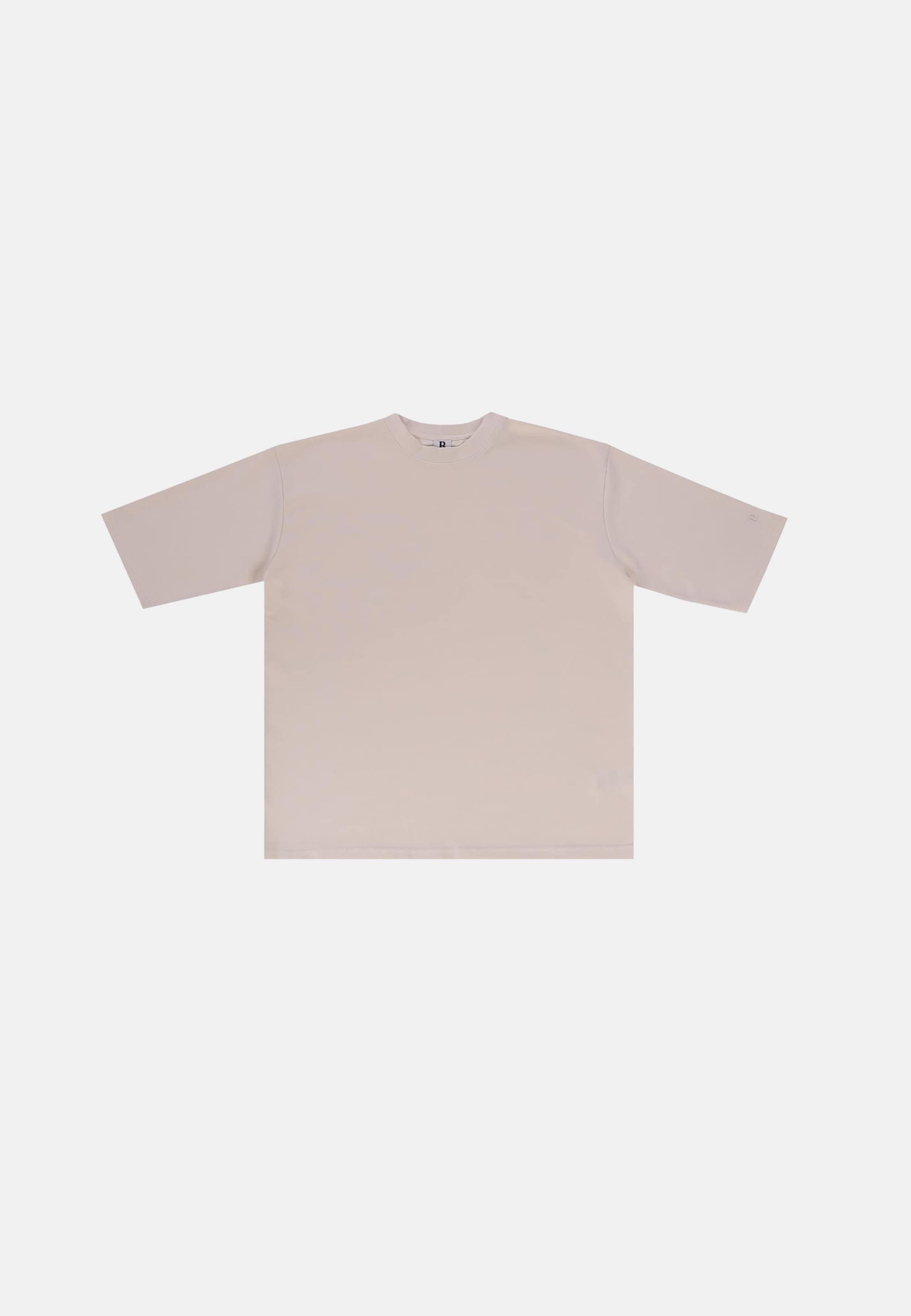 Dropsize Loose Fit T-Shirt