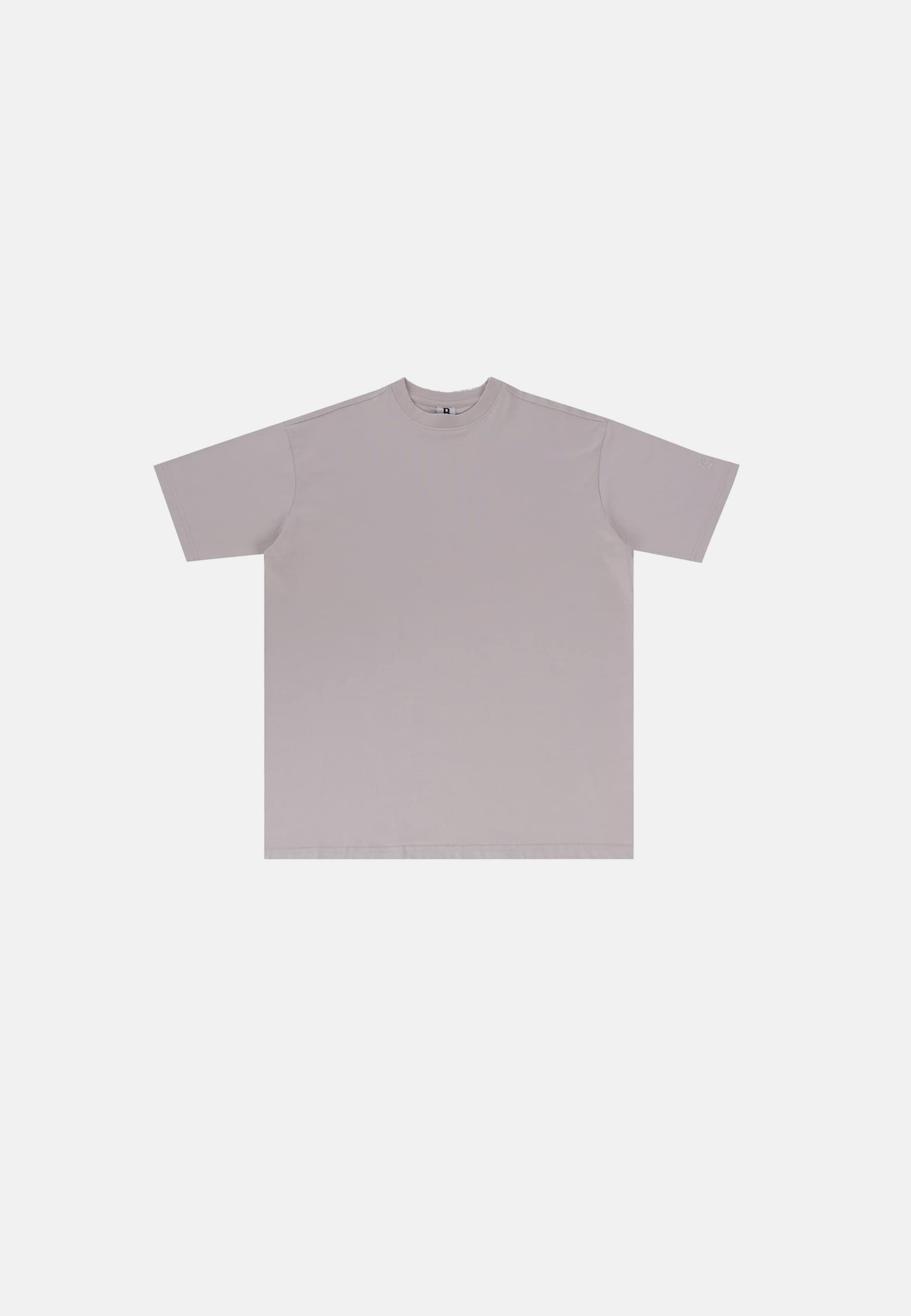 Dropsize Regular Fit T-Shirt