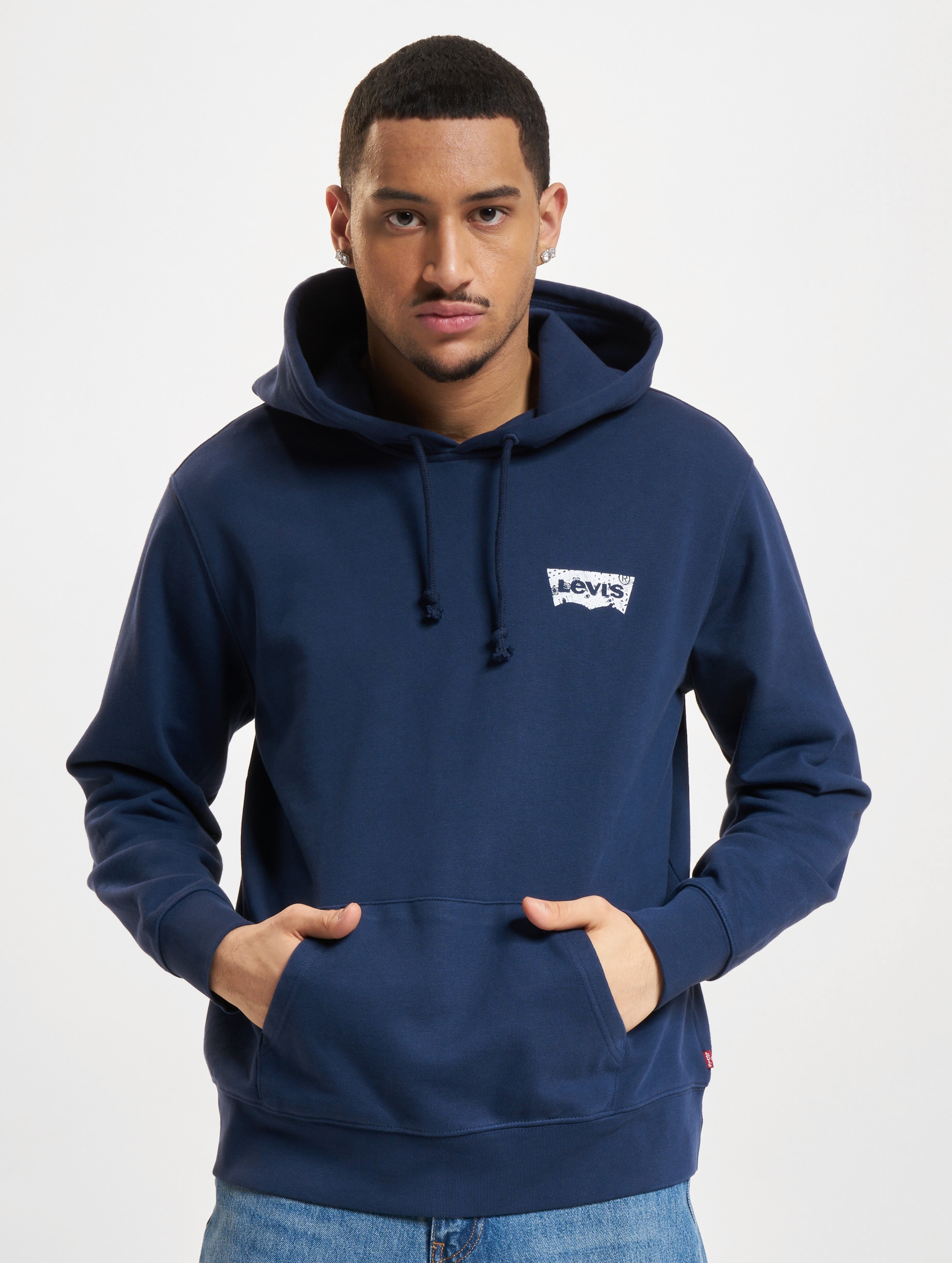 Levis Standard Graphic Hoodie