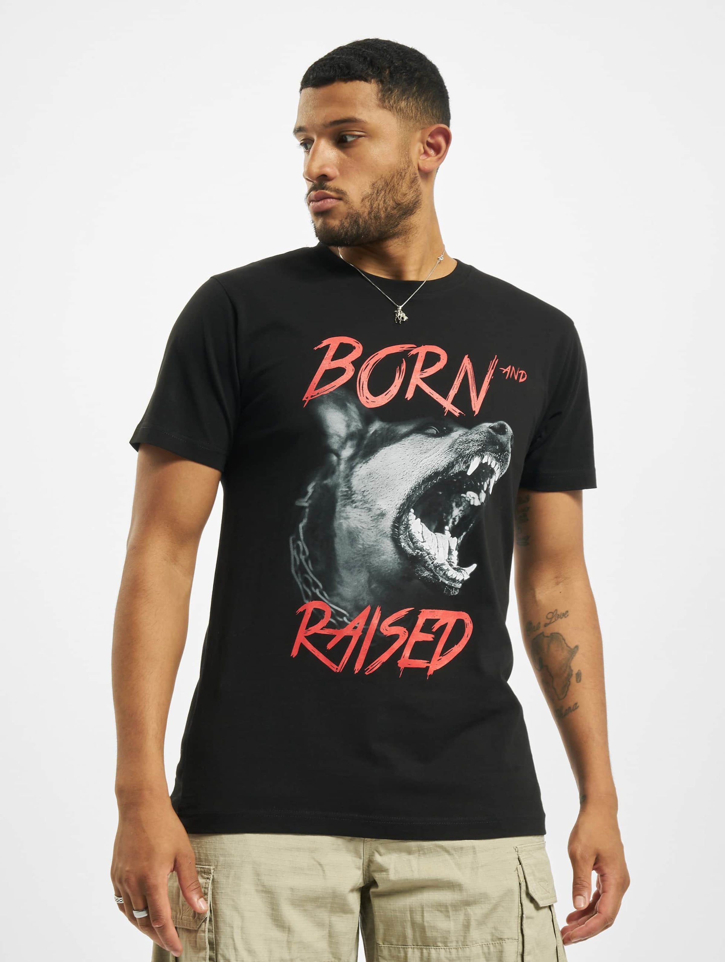 Mister Tee Born & Raised