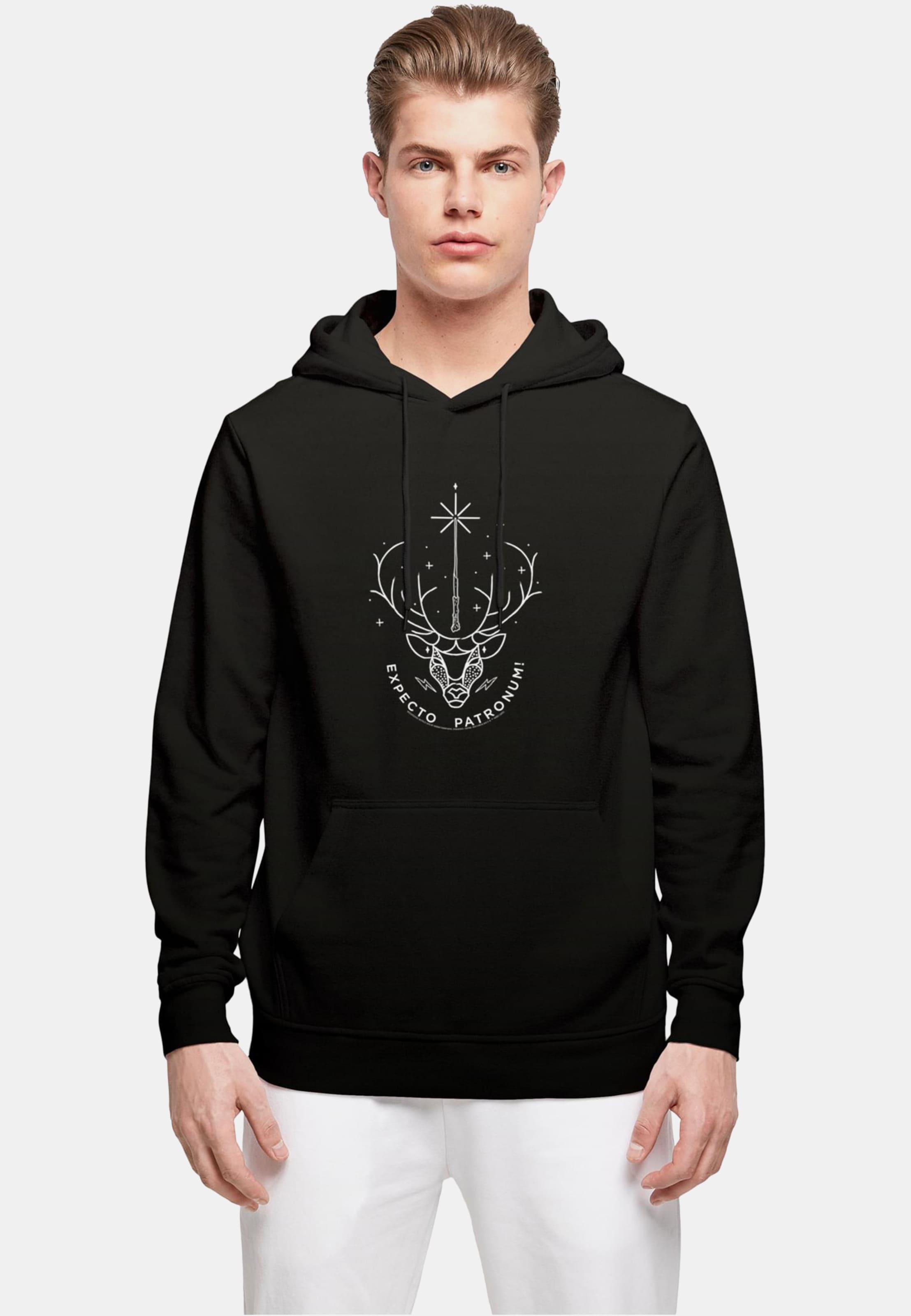 Absolute Cult Harry Potter - Expecto Patronum Basic Hoody