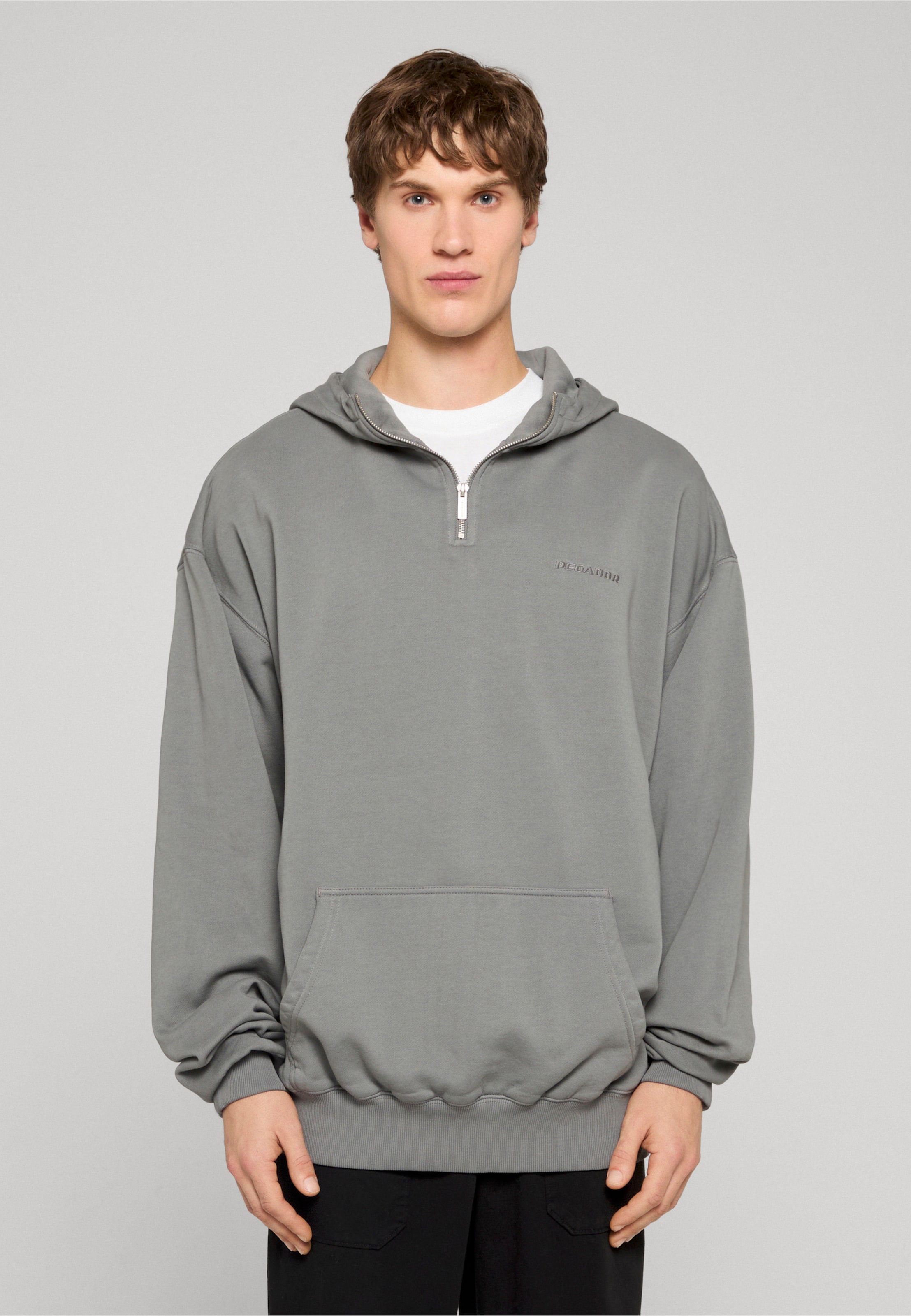Pegador Logo Oversized Halfzip Hoodie