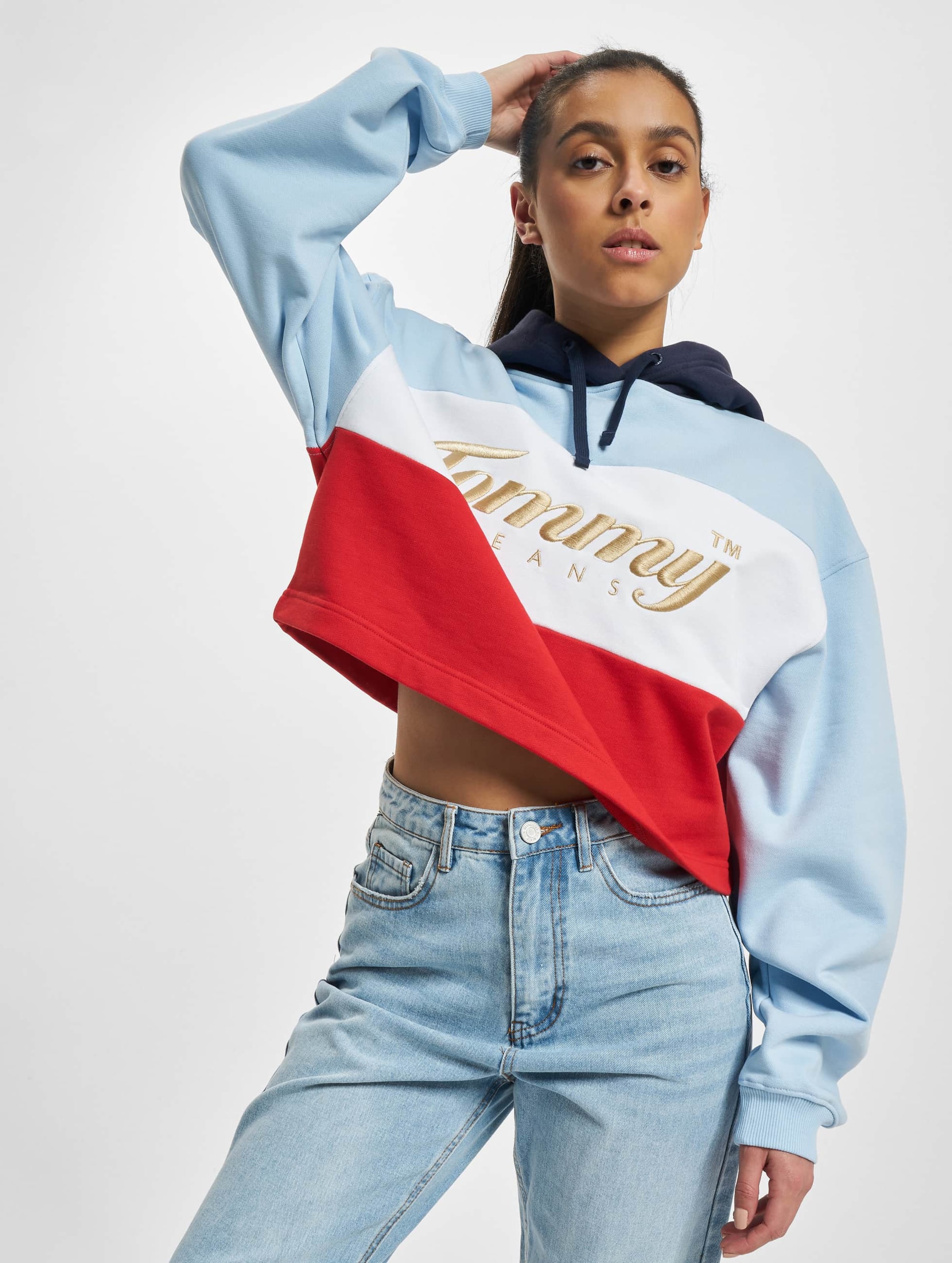 Tommy Jeans Crop Archive Hoodie
