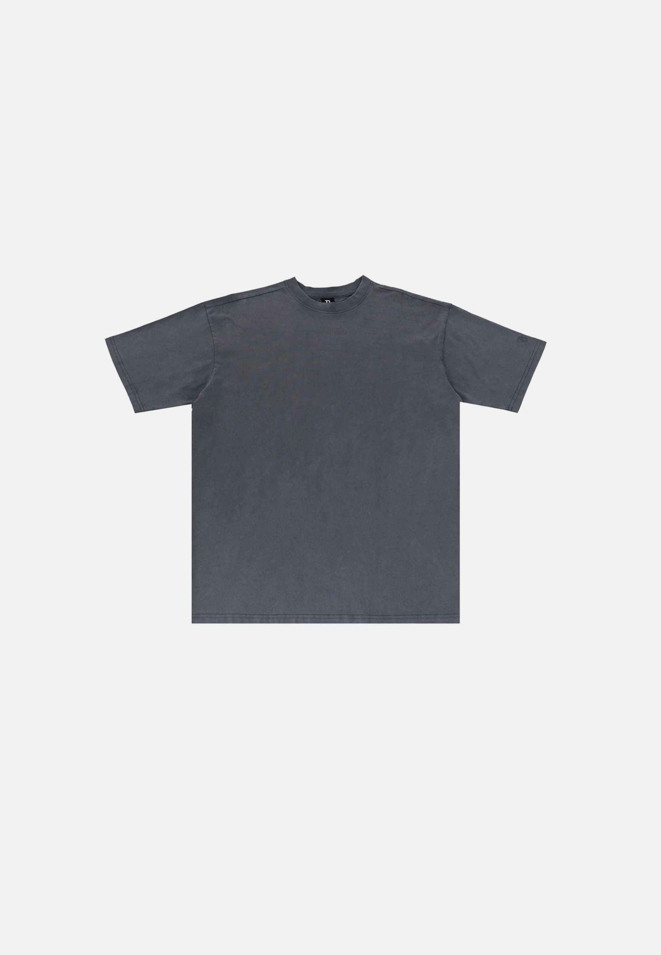 Dropsize Regular Fit T-Shirt