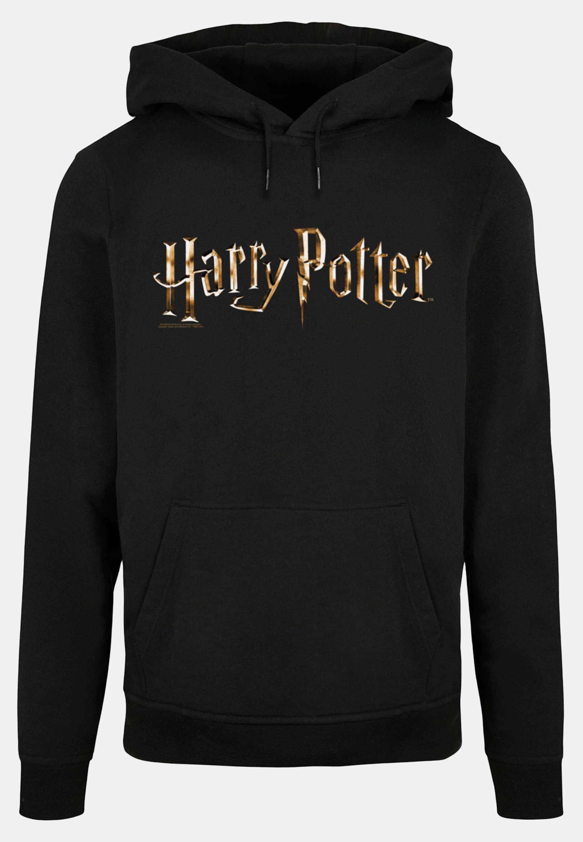 Absolute Cult Harry Potter - Colour Logo Basic Hoody