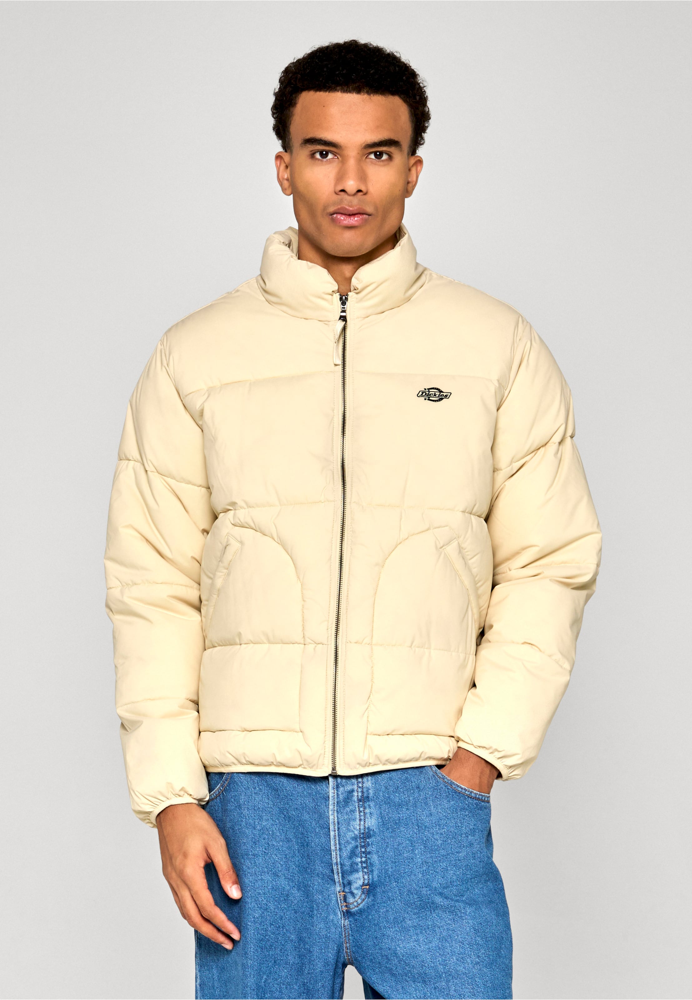 Dickies SUMMERDALE PUFFER