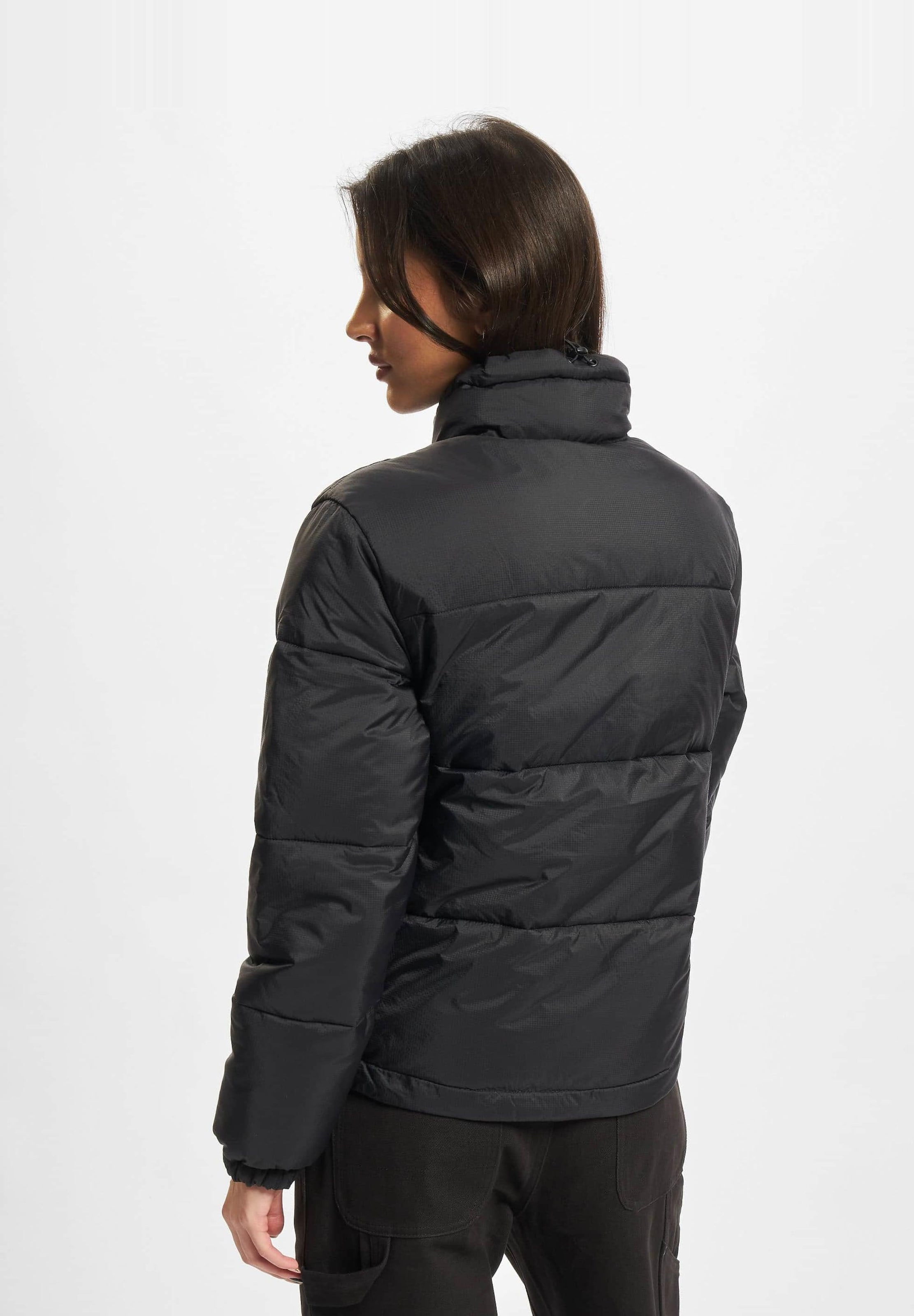 Dickies Alatna Winter Jacket