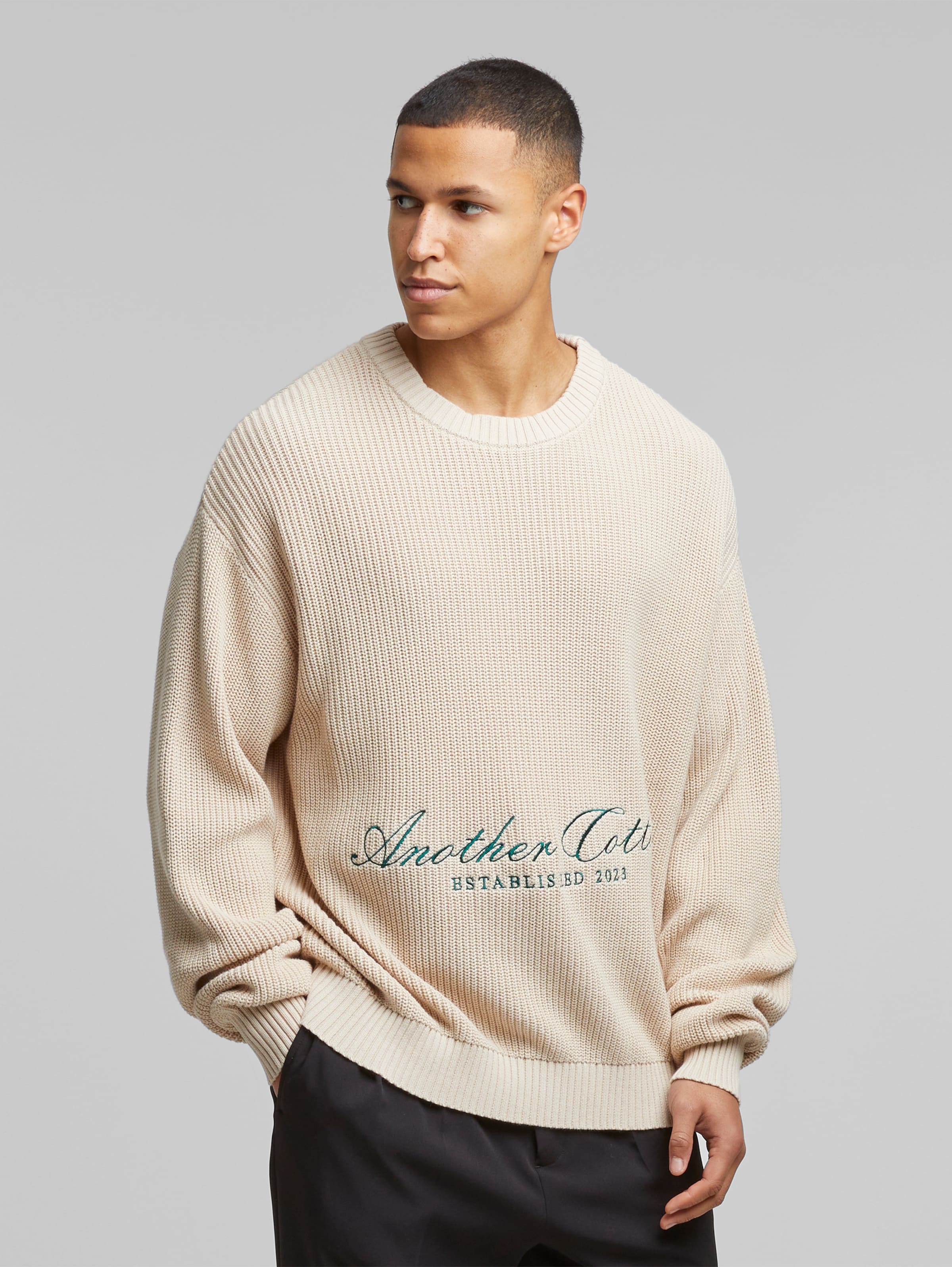Another Cotton Lab Established Knit Sweater