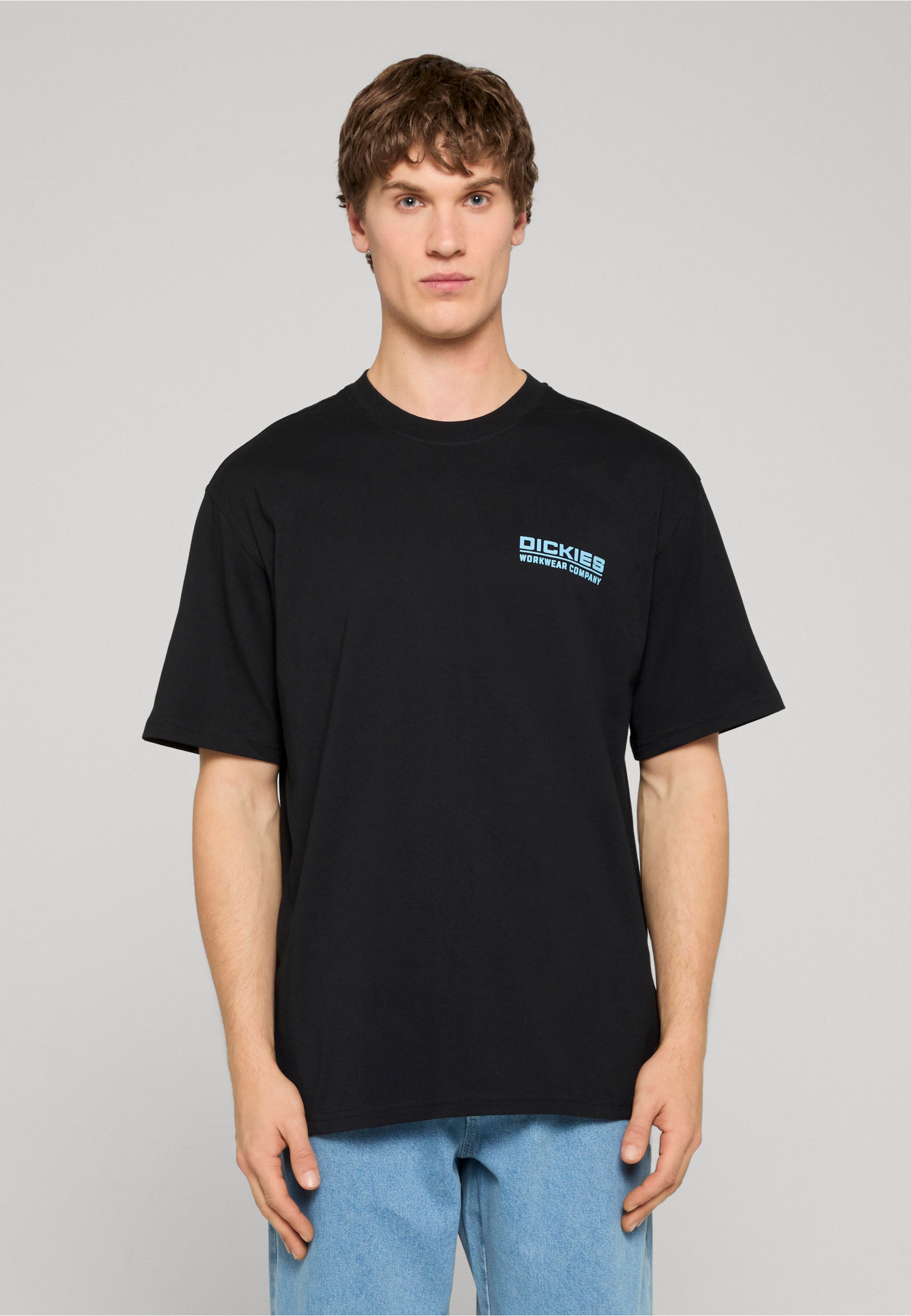 Dickies Bolivar Tee SS