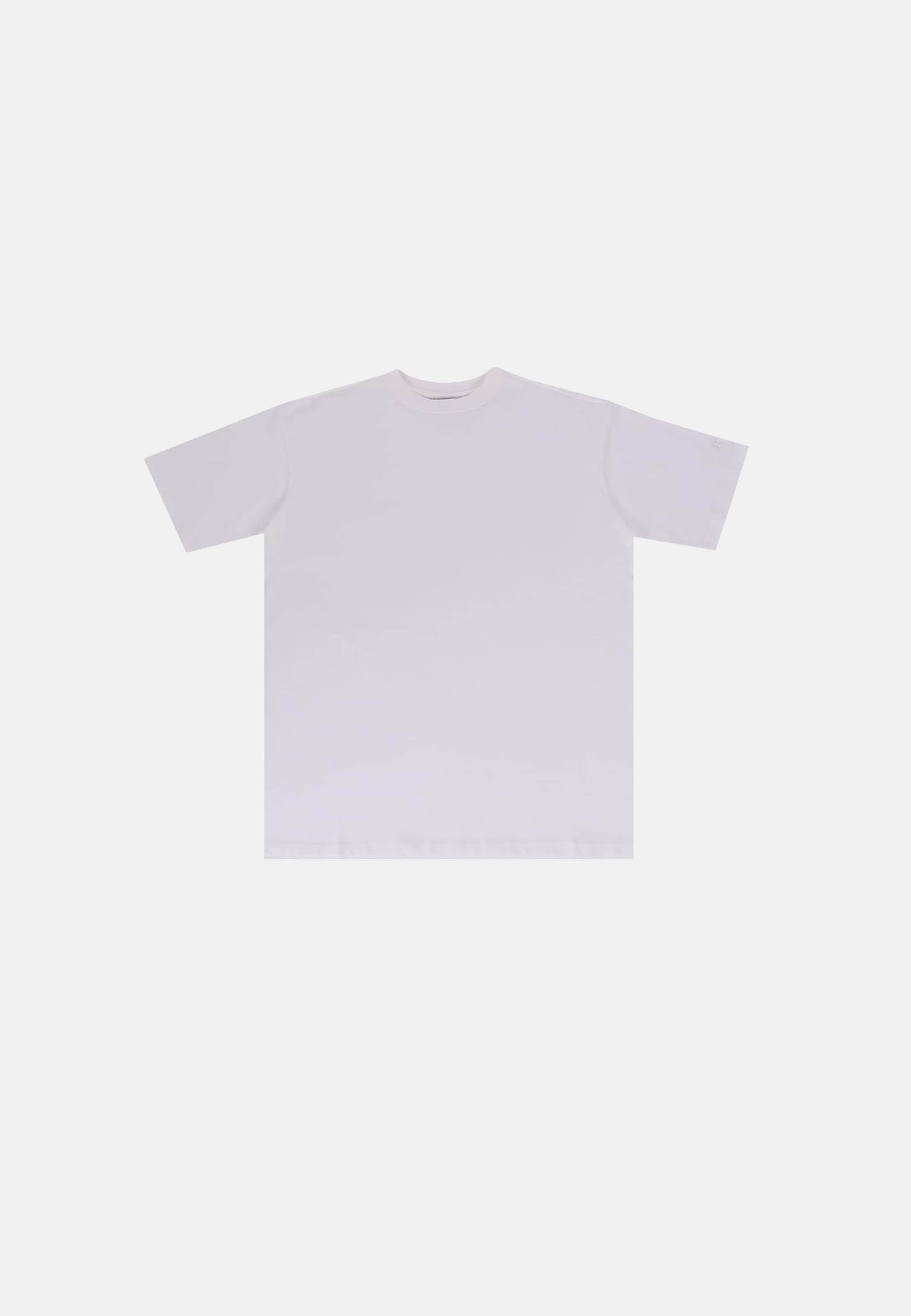 Dropsize Regular Fit T-Shirt