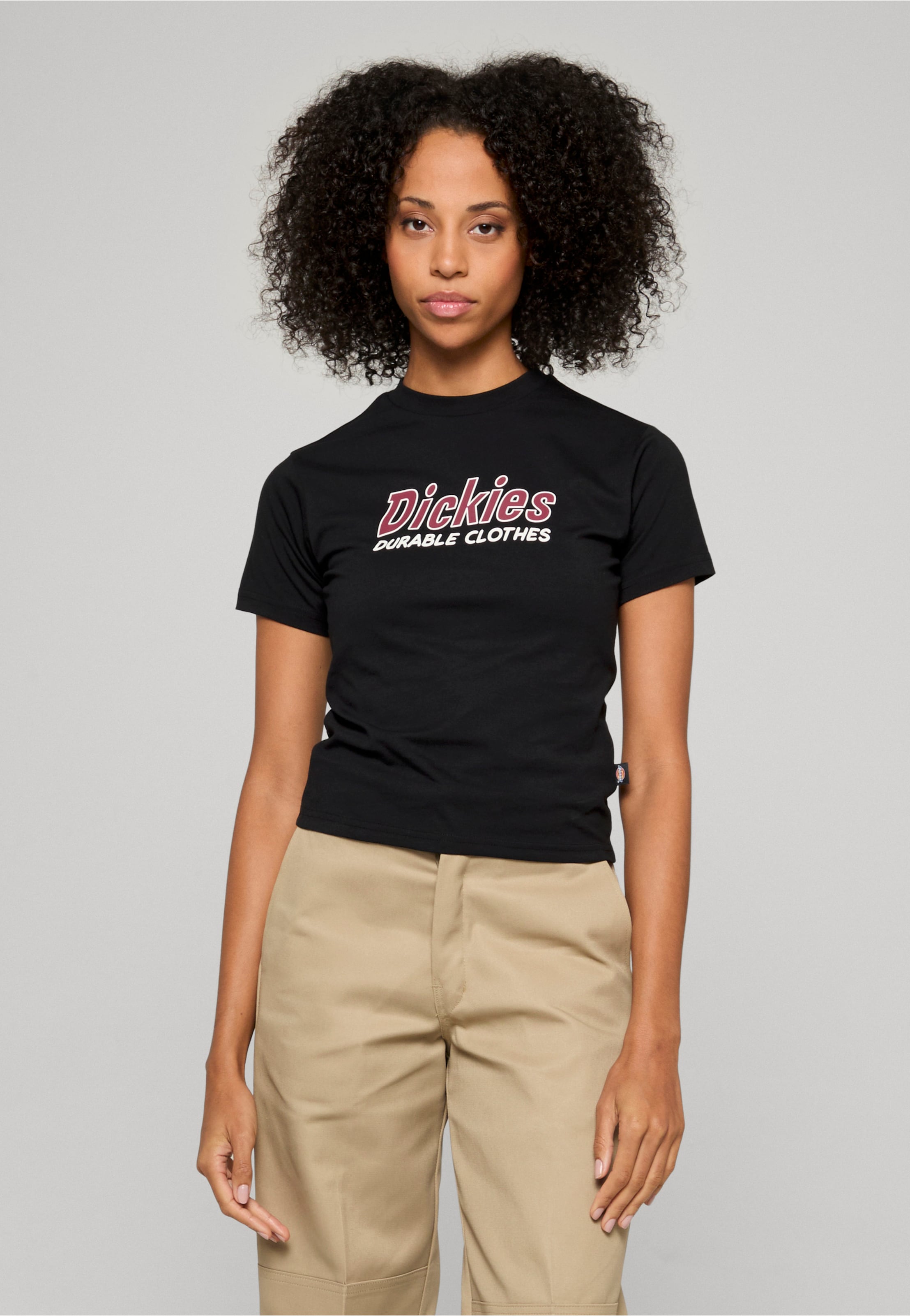 Dickies Williston Tee SS W