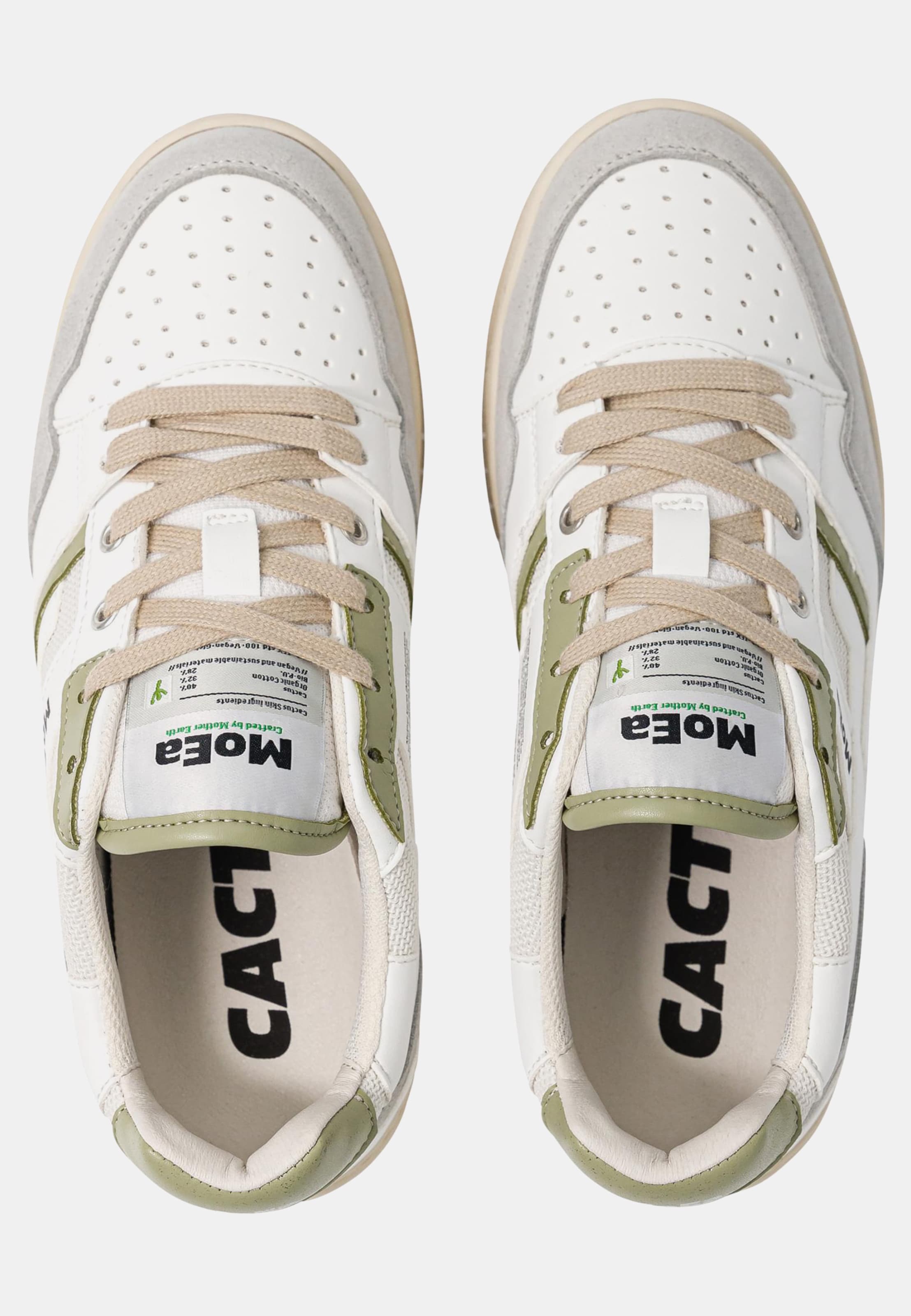 MoEa GEN2 - CACTUS WHITE & ALOE