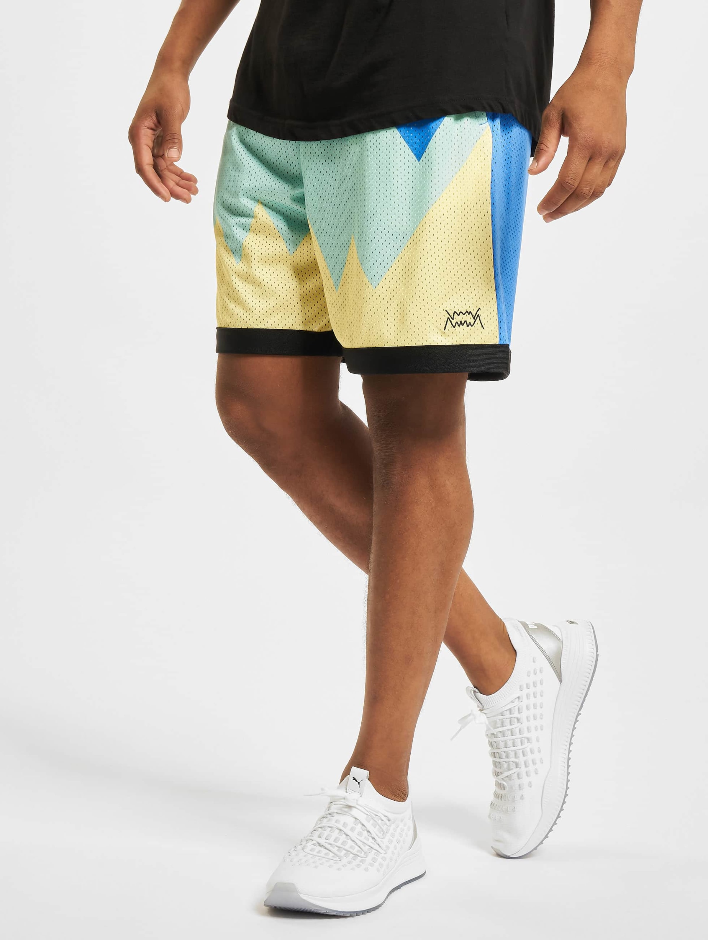 Puma Scholarship Short