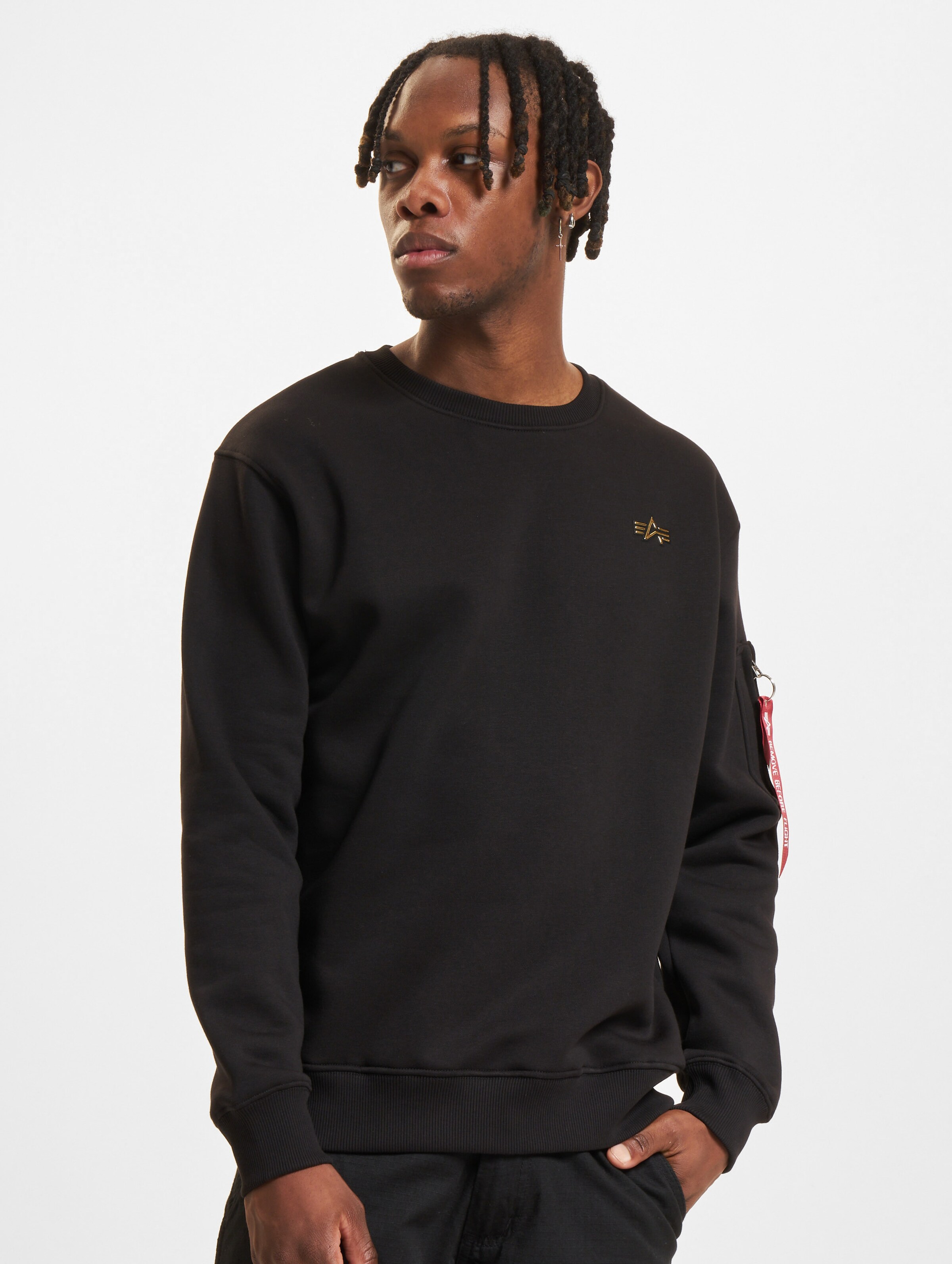Alpha Industries 3D Small Logo Pullover