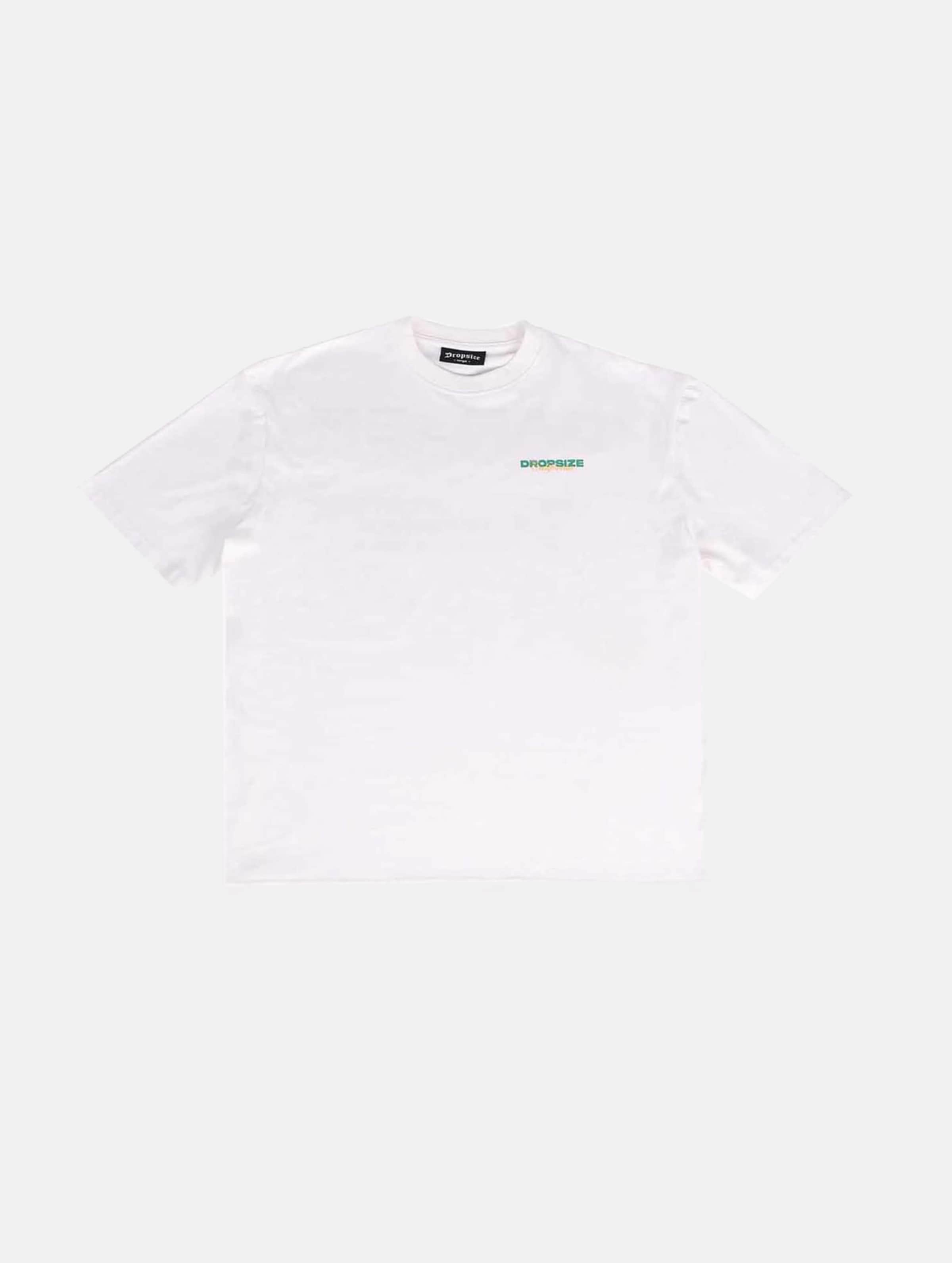 Dropsize HEAVY OVERSIZE GARDEN GROVE T-SHIRT