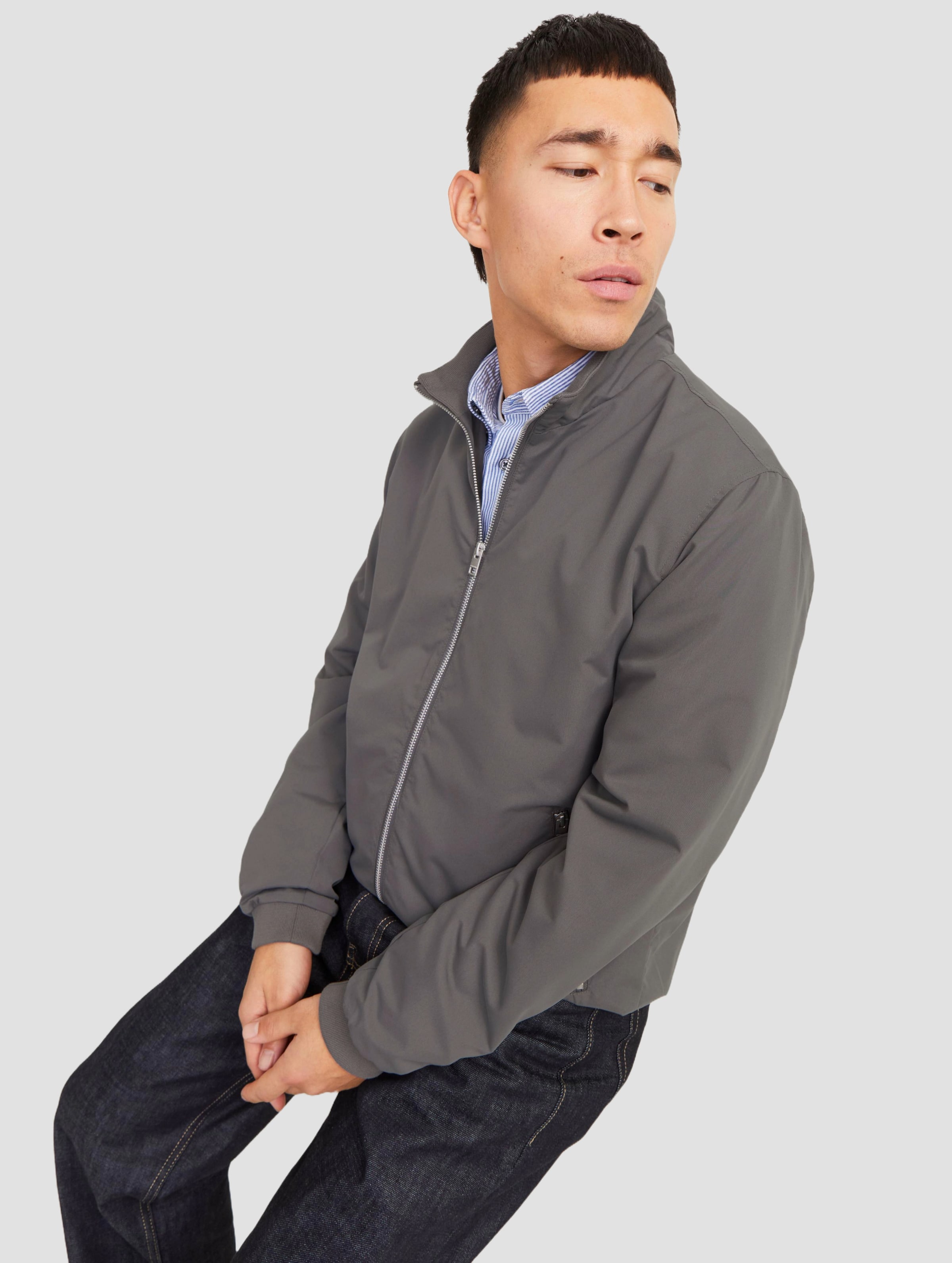 Jack & Jones Rush Harrington Bomberjacke