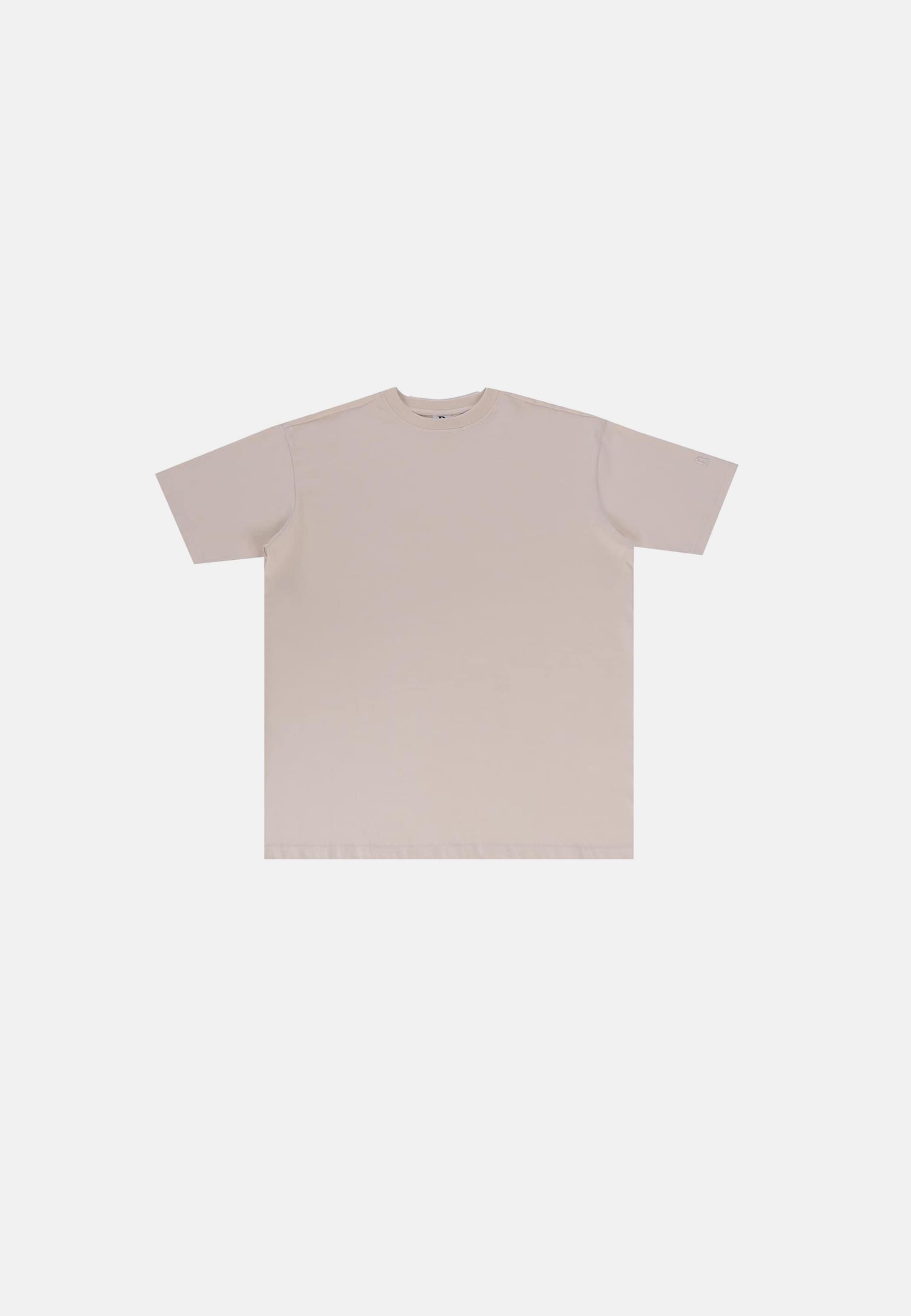 Dropsize Regular Fit T-Shirt