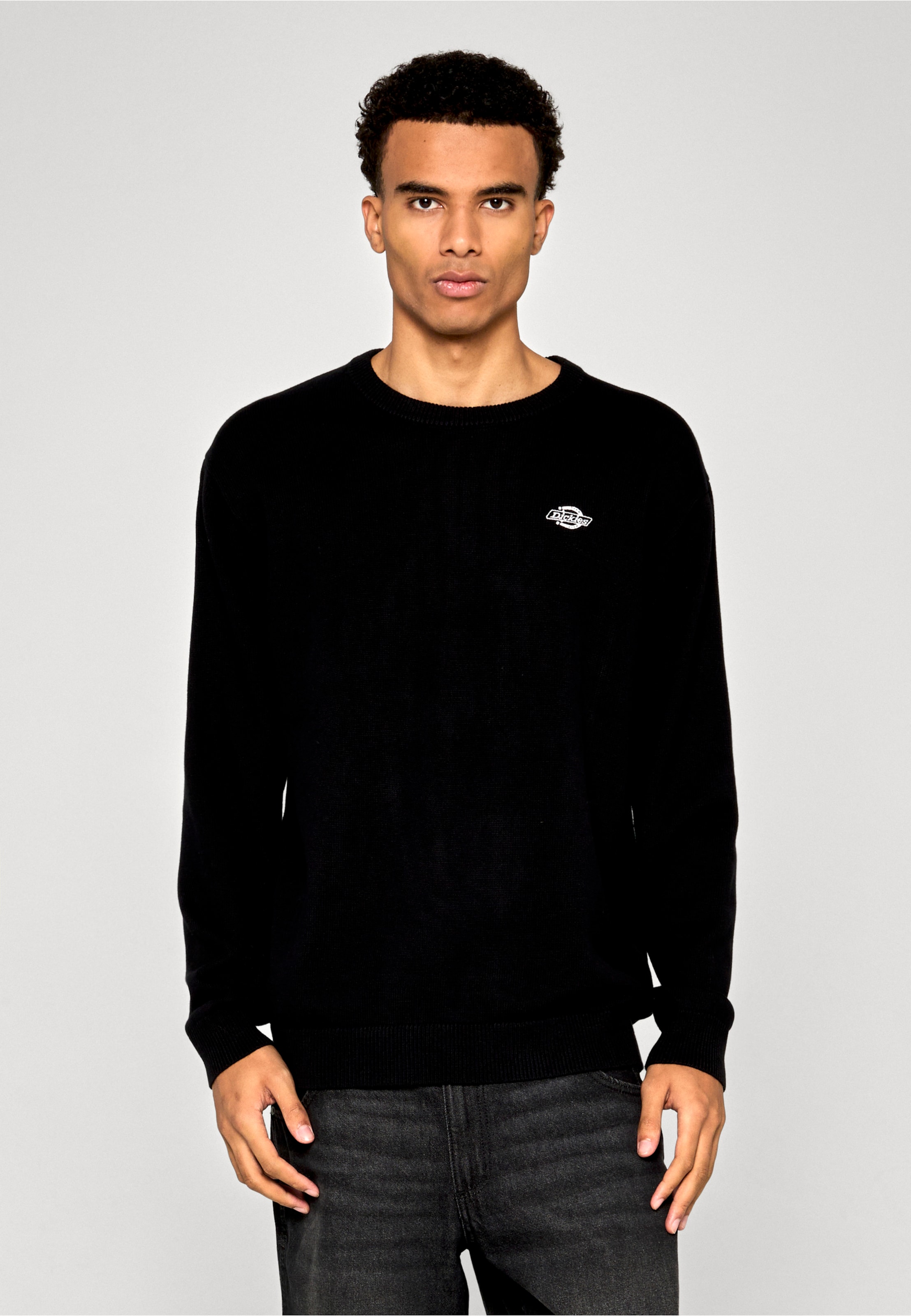 Dickies SUMMERDALE SWEATER